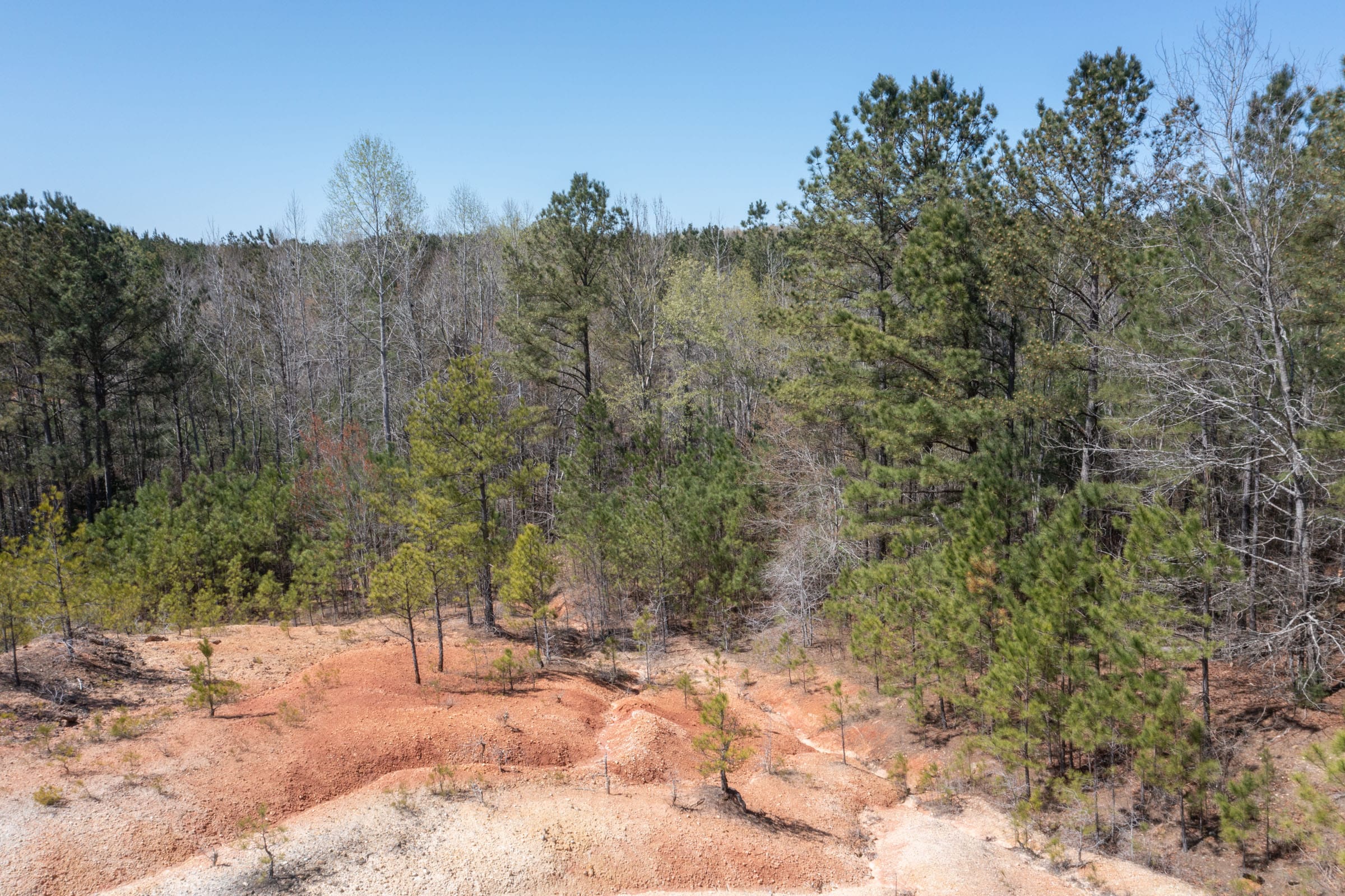 Southern Hills Tract 13 photo 10