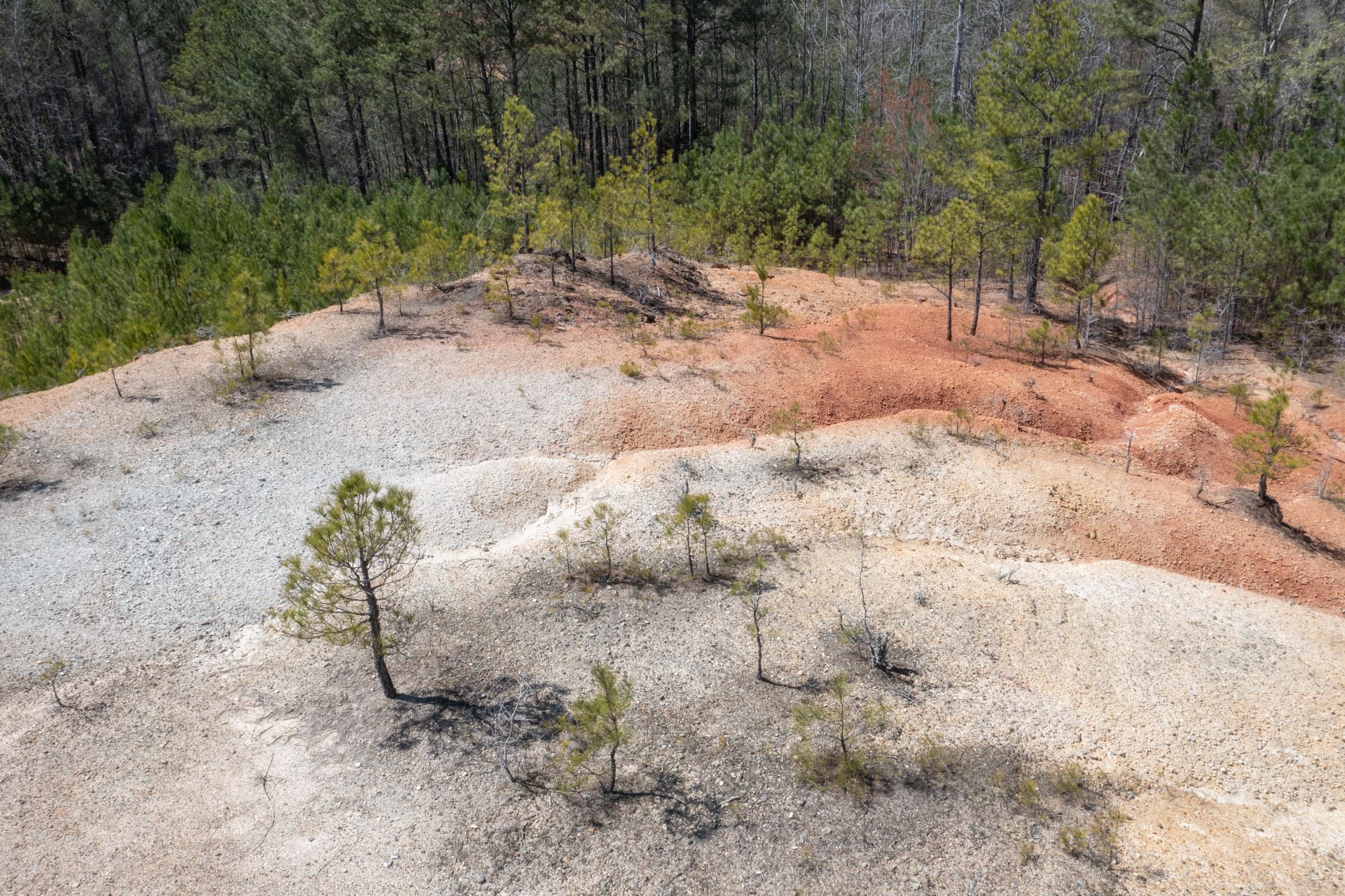 Southern Hills Tract 13 photo 11