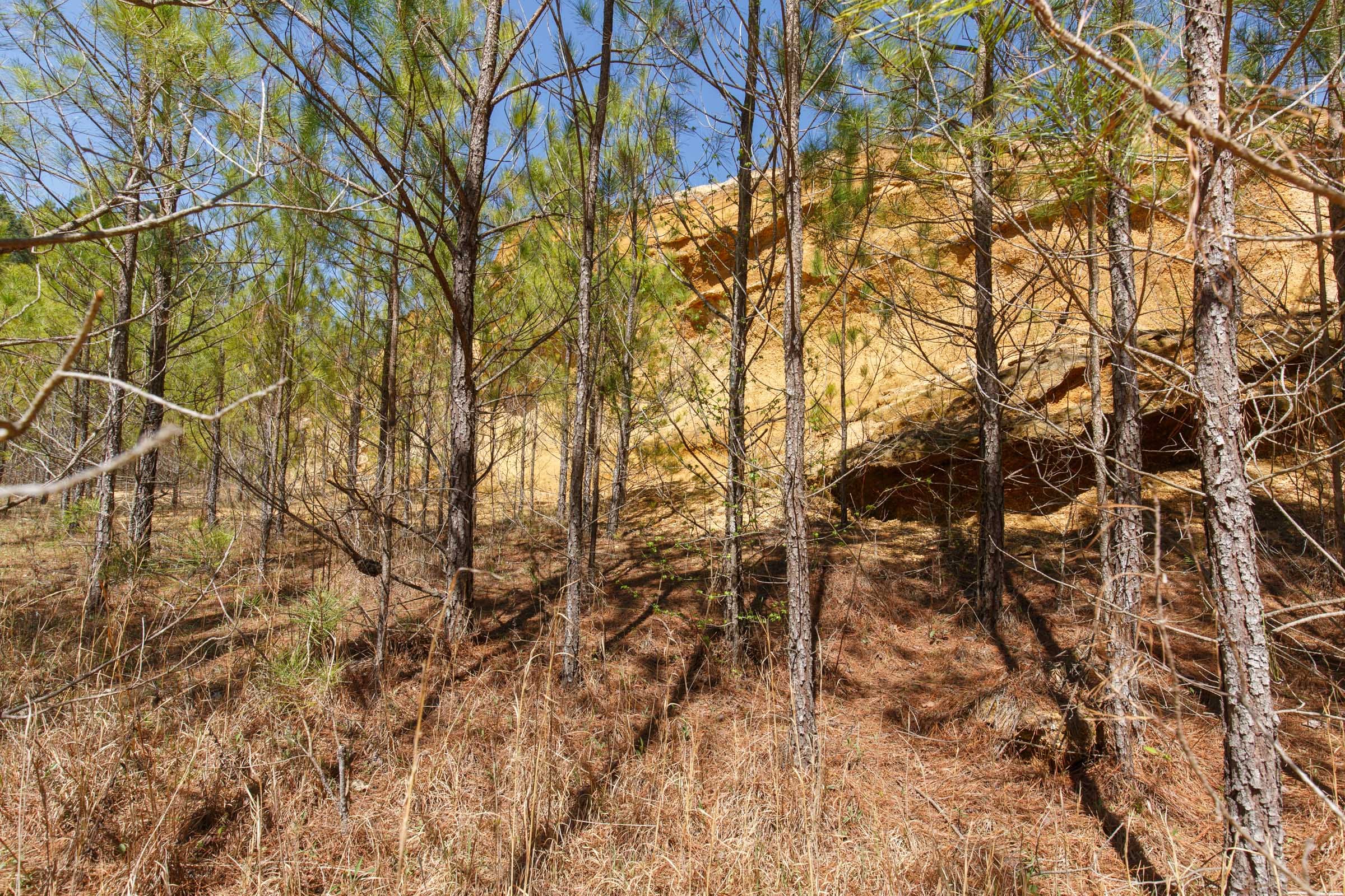 Southern Hills Tract 13 photo 12