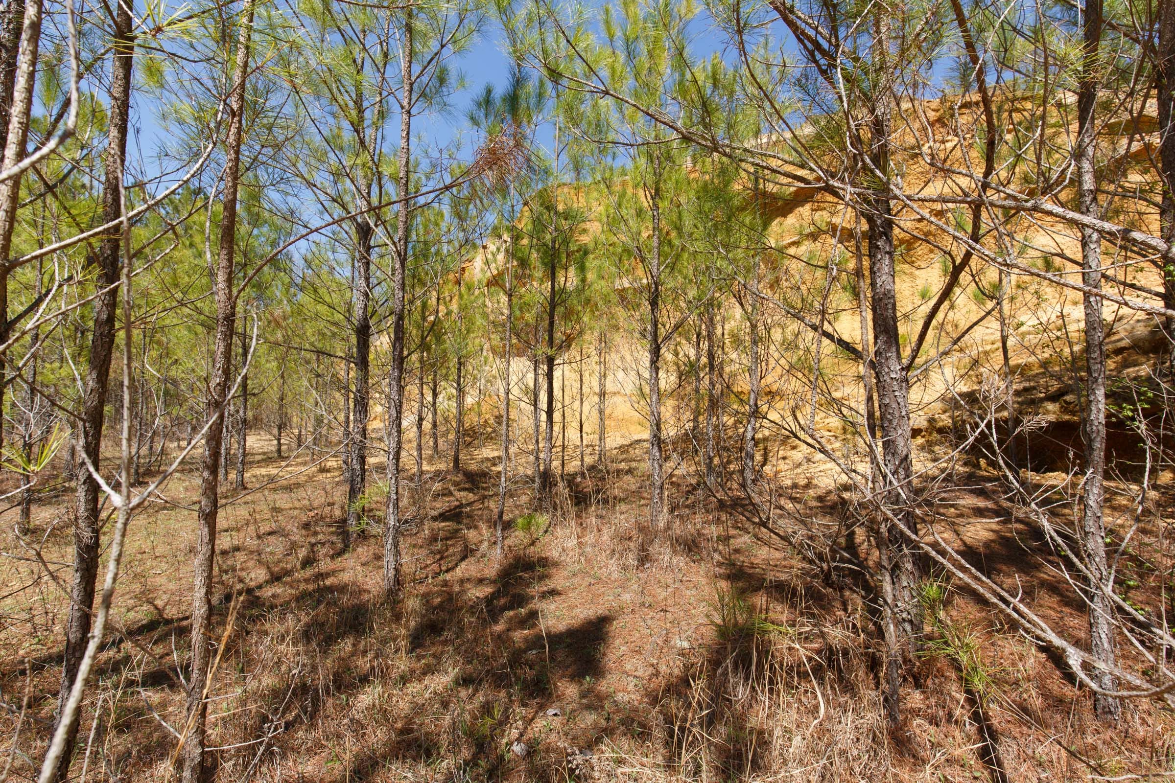 Southern Hills Tract 13 photo 13
