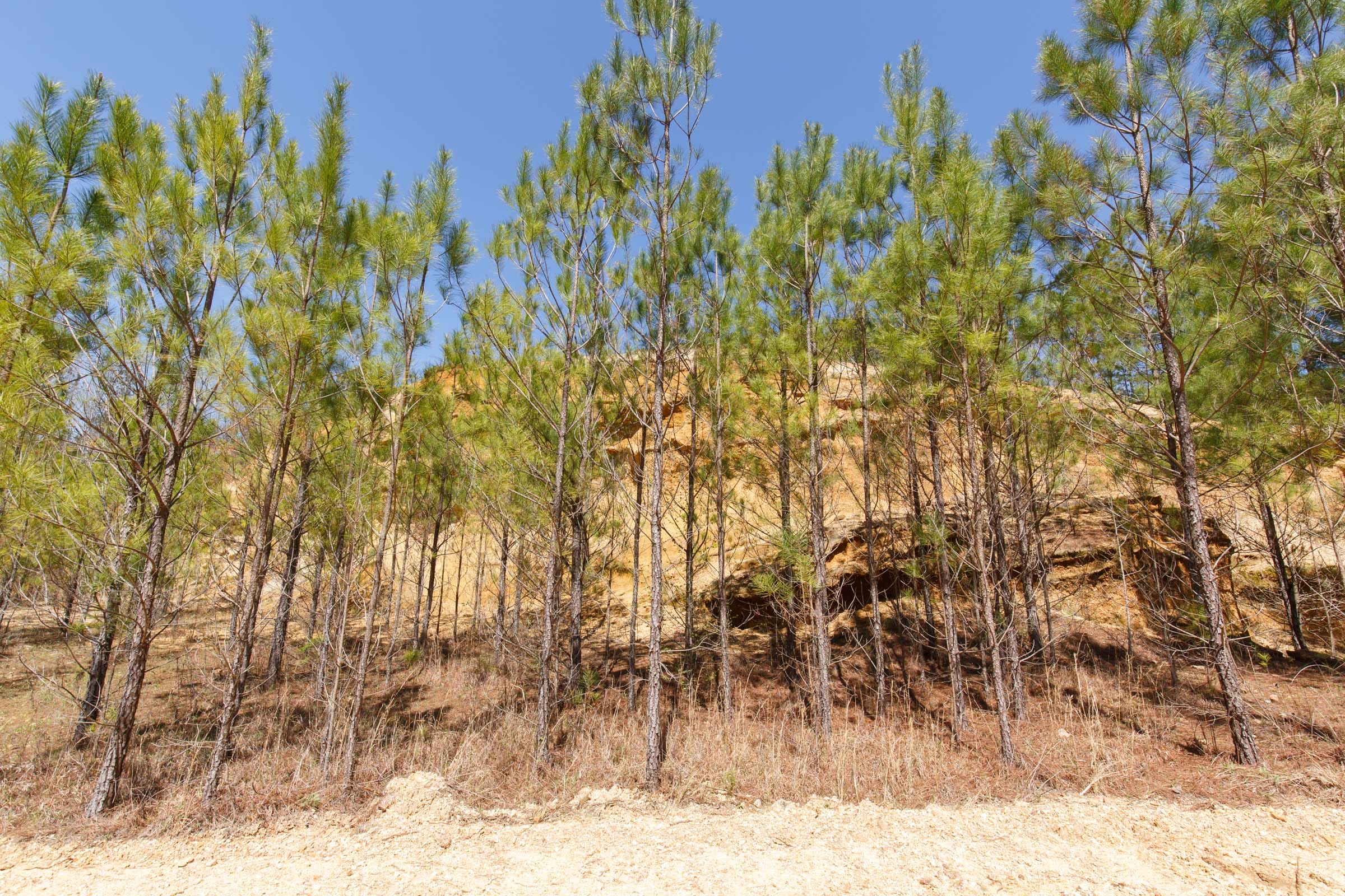 Southern Hills Tract 13 photo 14