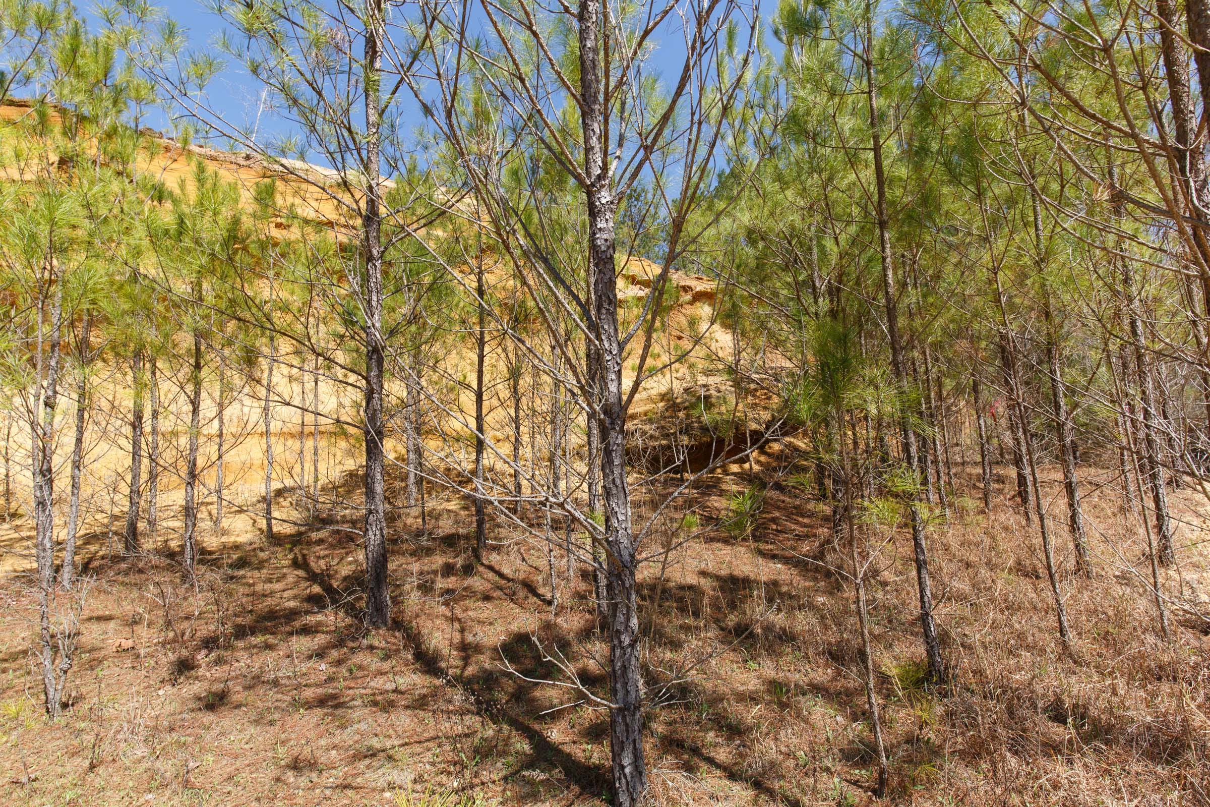 Southern Hills Tract 13 photo 15
