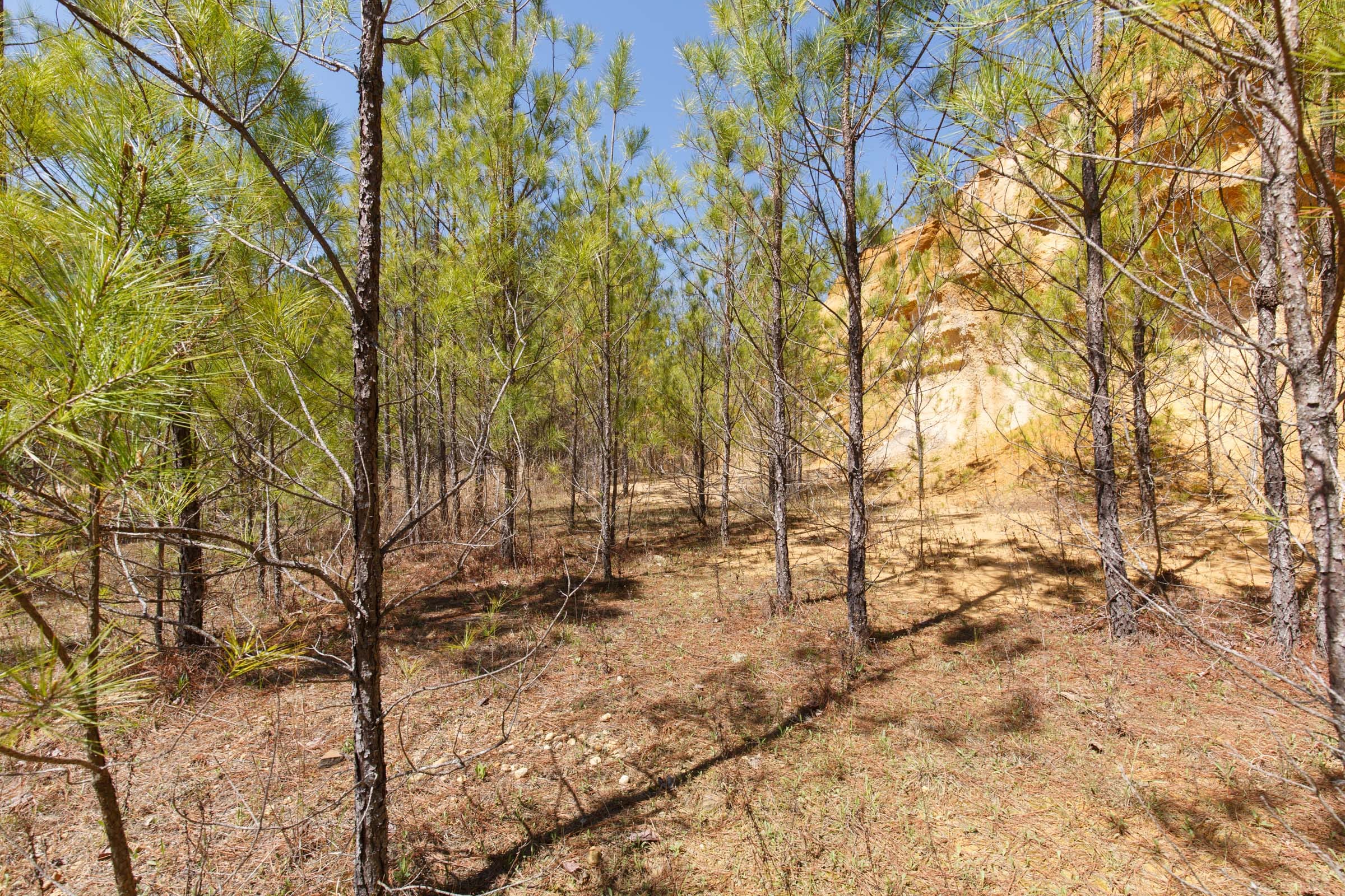 Southern Hills Tract 13 photo 16