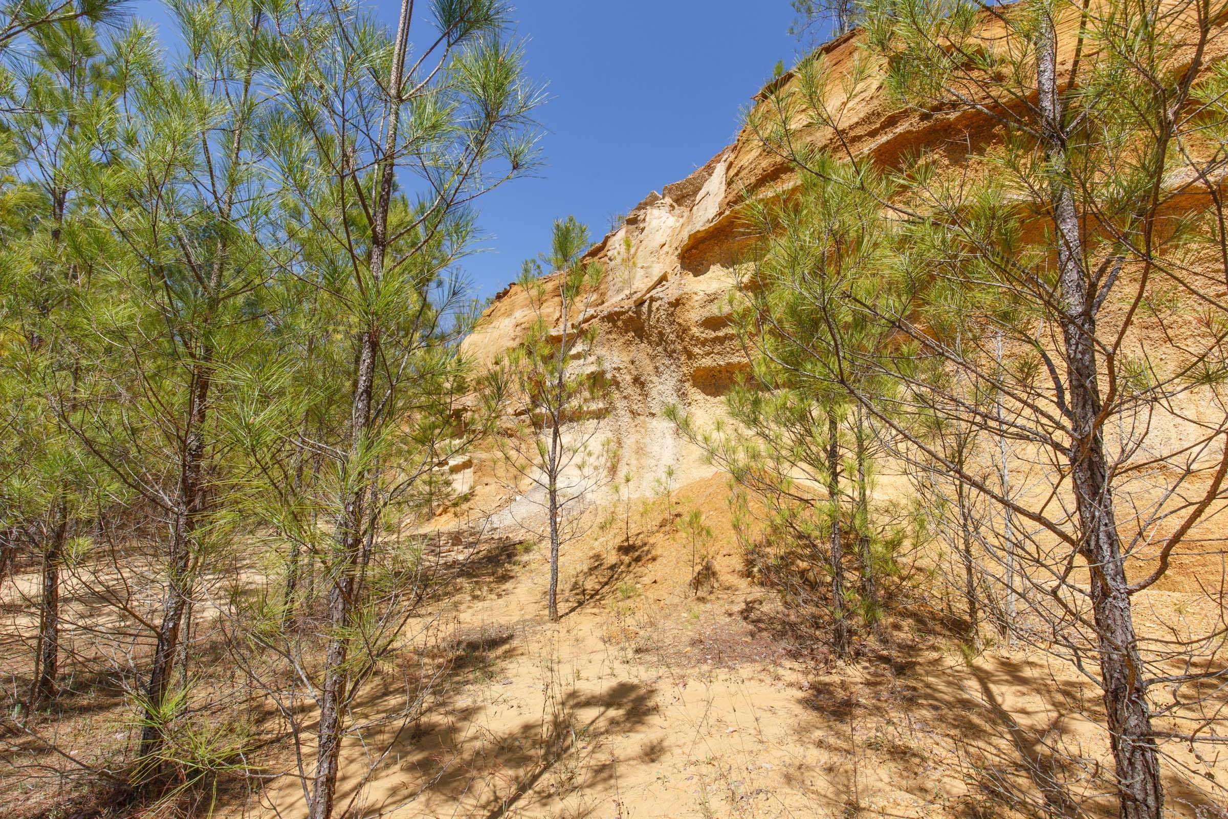 Southern Hills Tract 13 photo 17