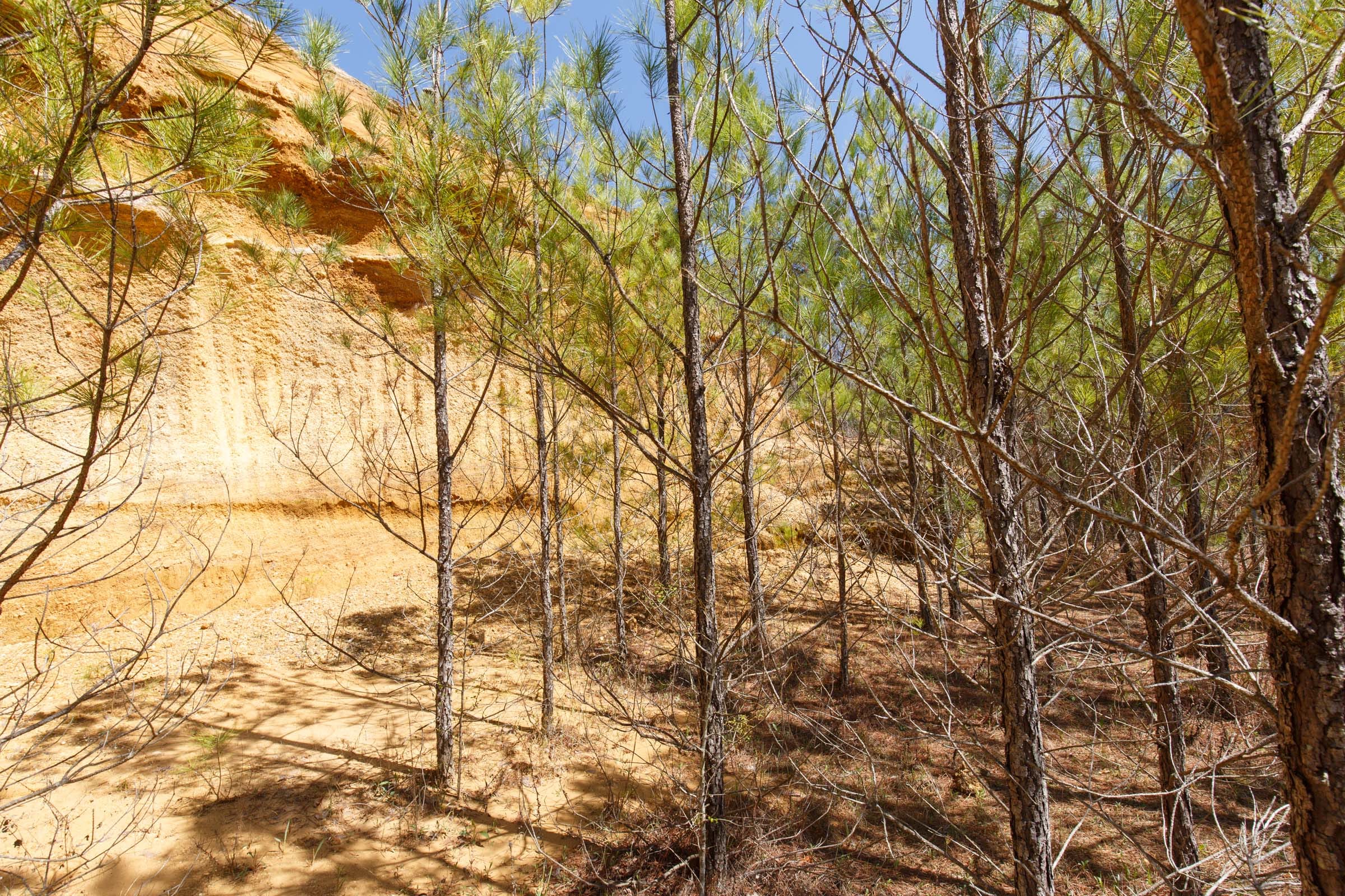 Southern Hills Tract 13 photo 18