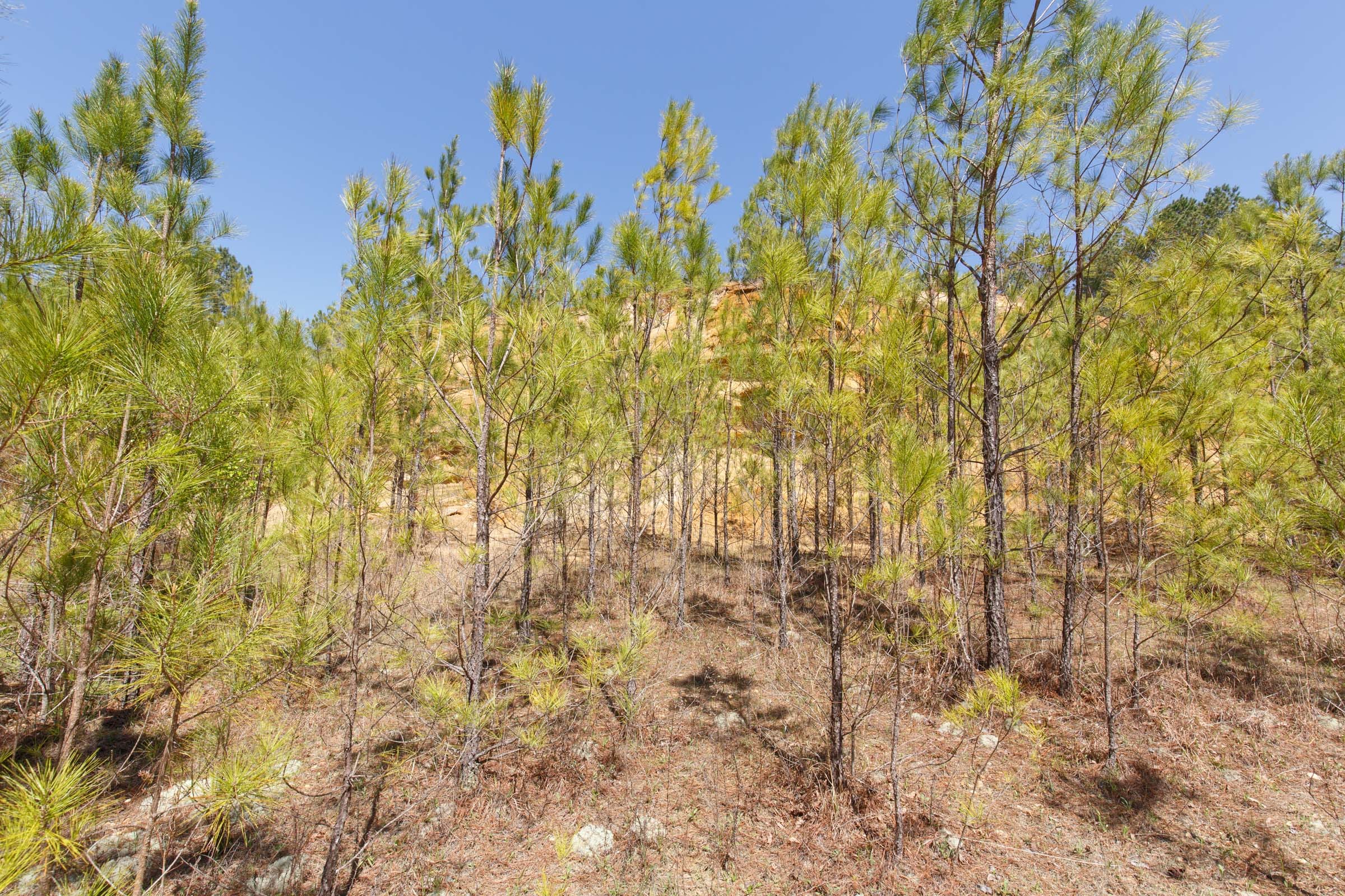 Southern Hills Tract 13 photo 22