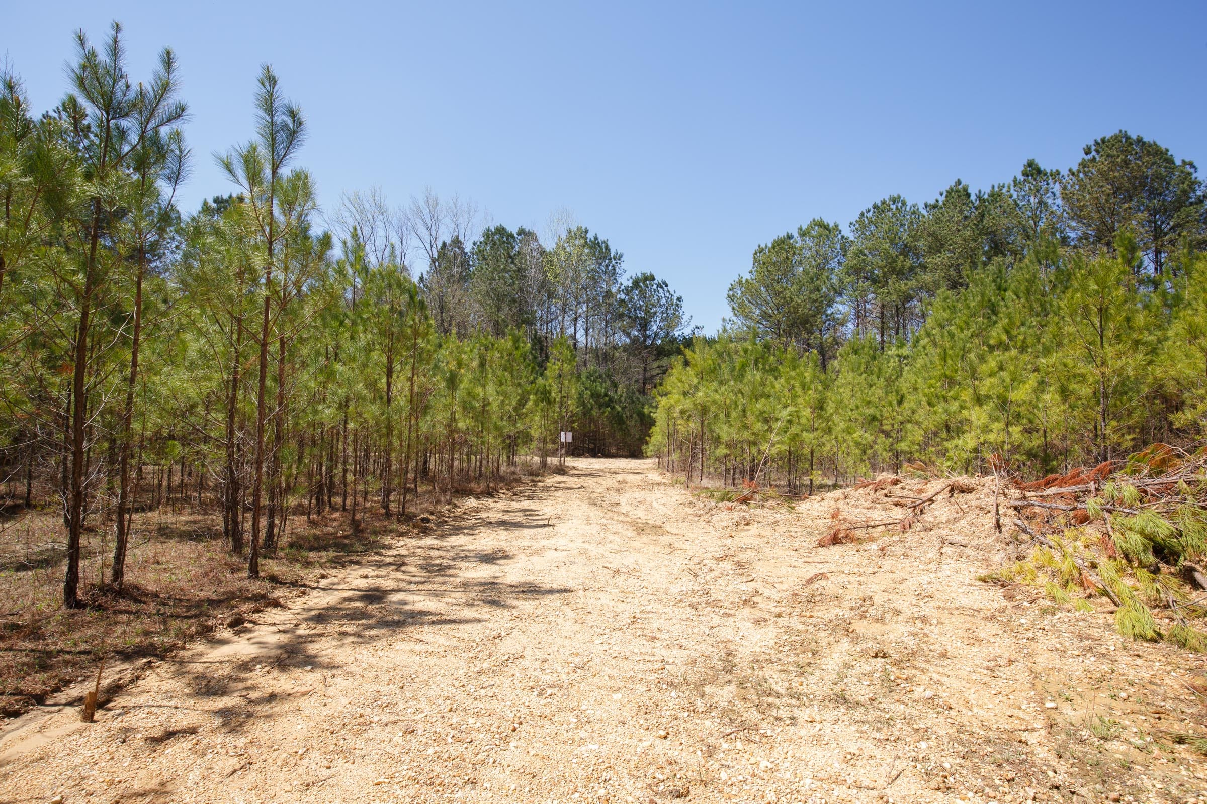 Southern Hills Tract 13 photo 21