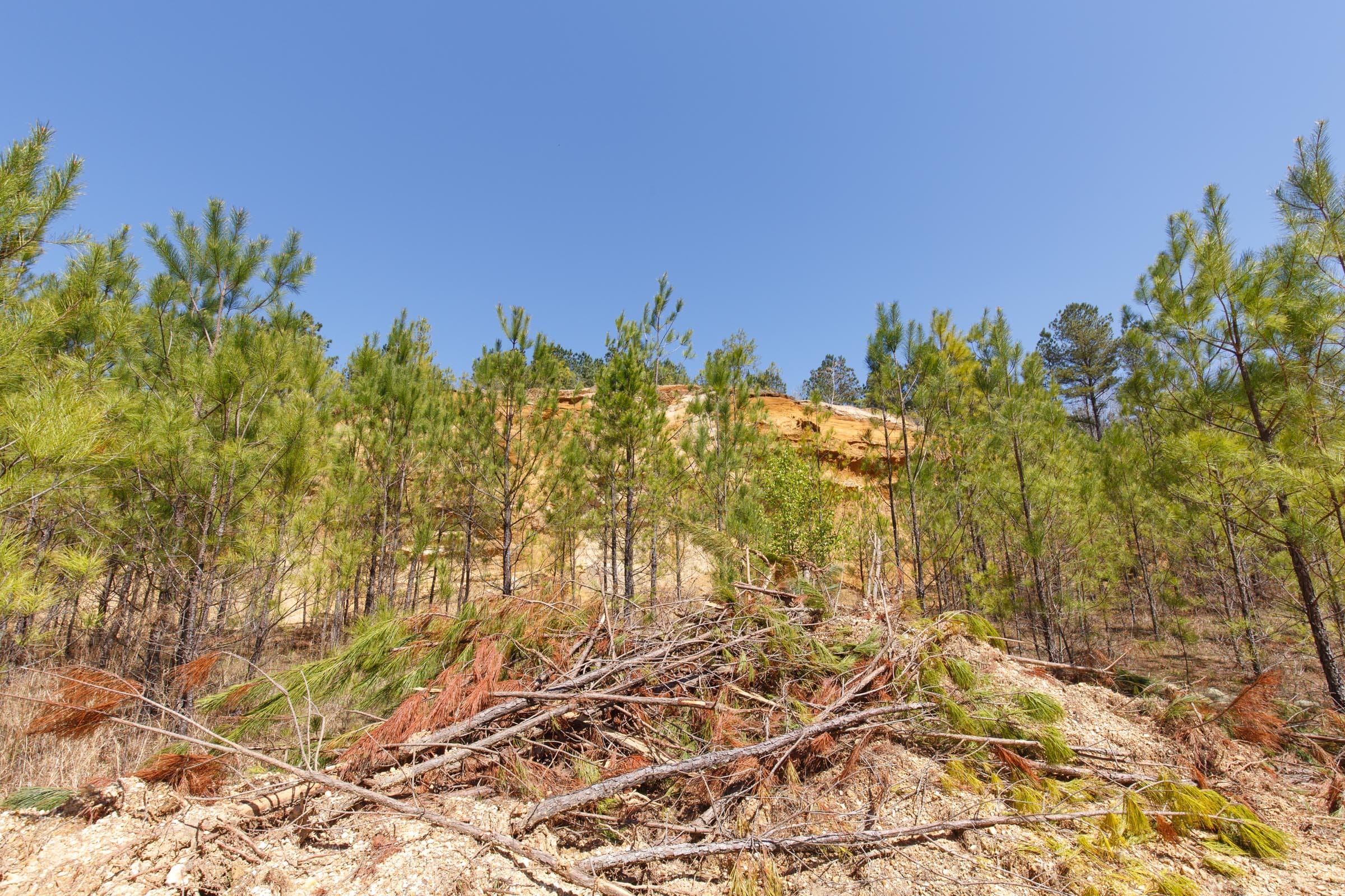 Southern Hills Tract 13 photo 23