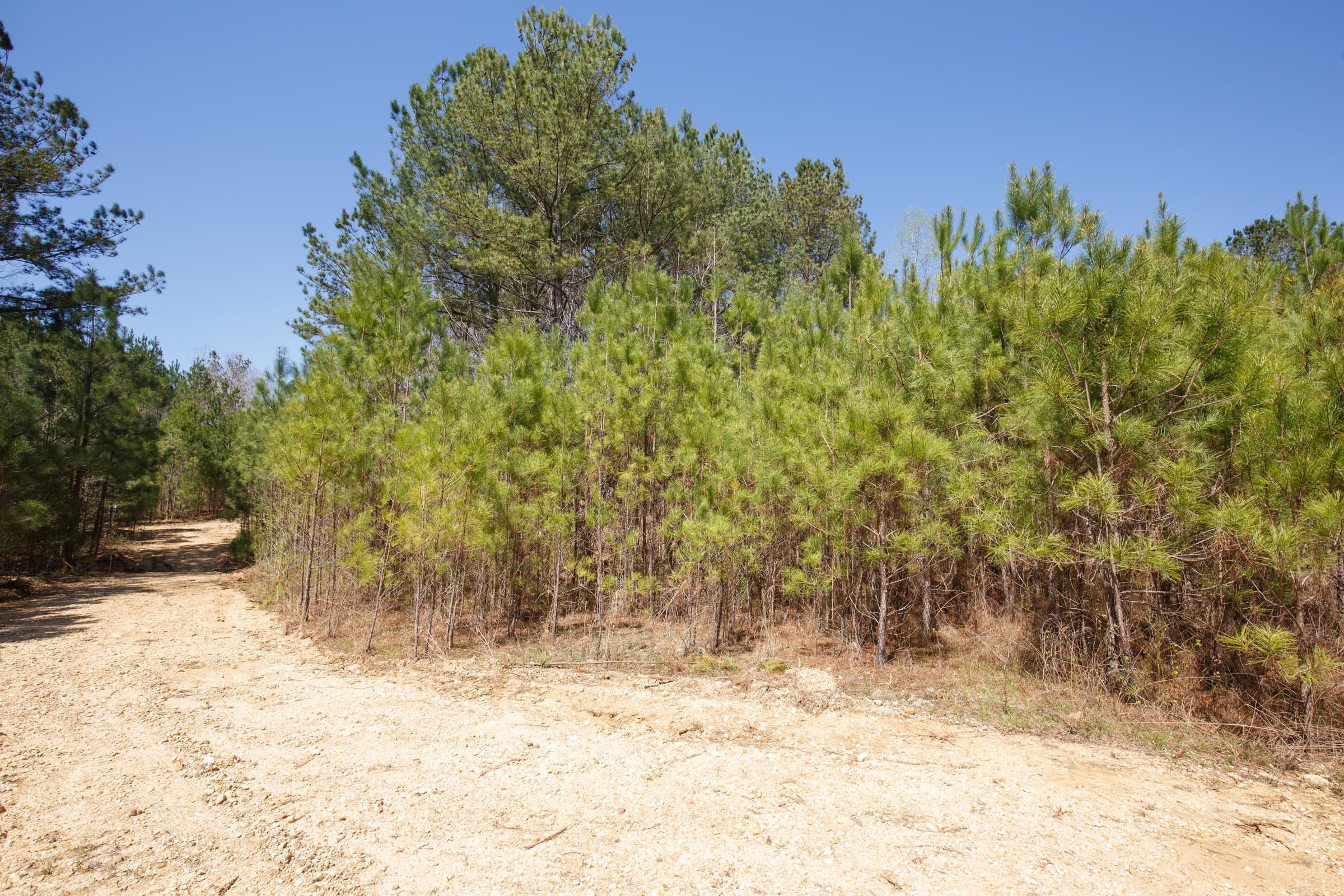 Southern Hills Tract 13 photo 26