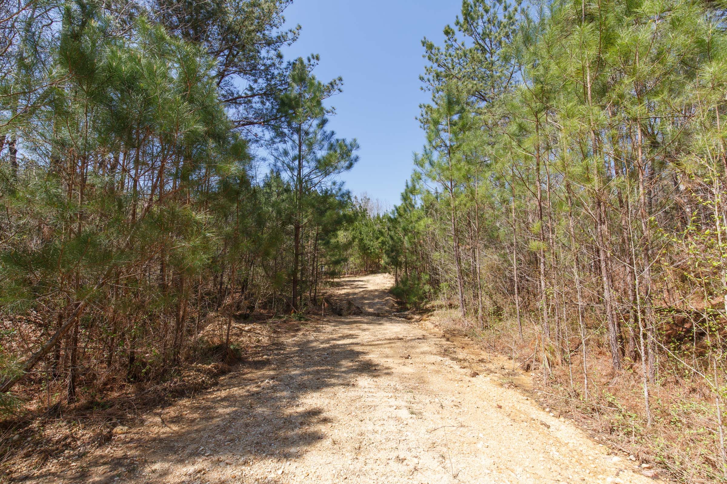 Southern Hills Tract 13 photo 31