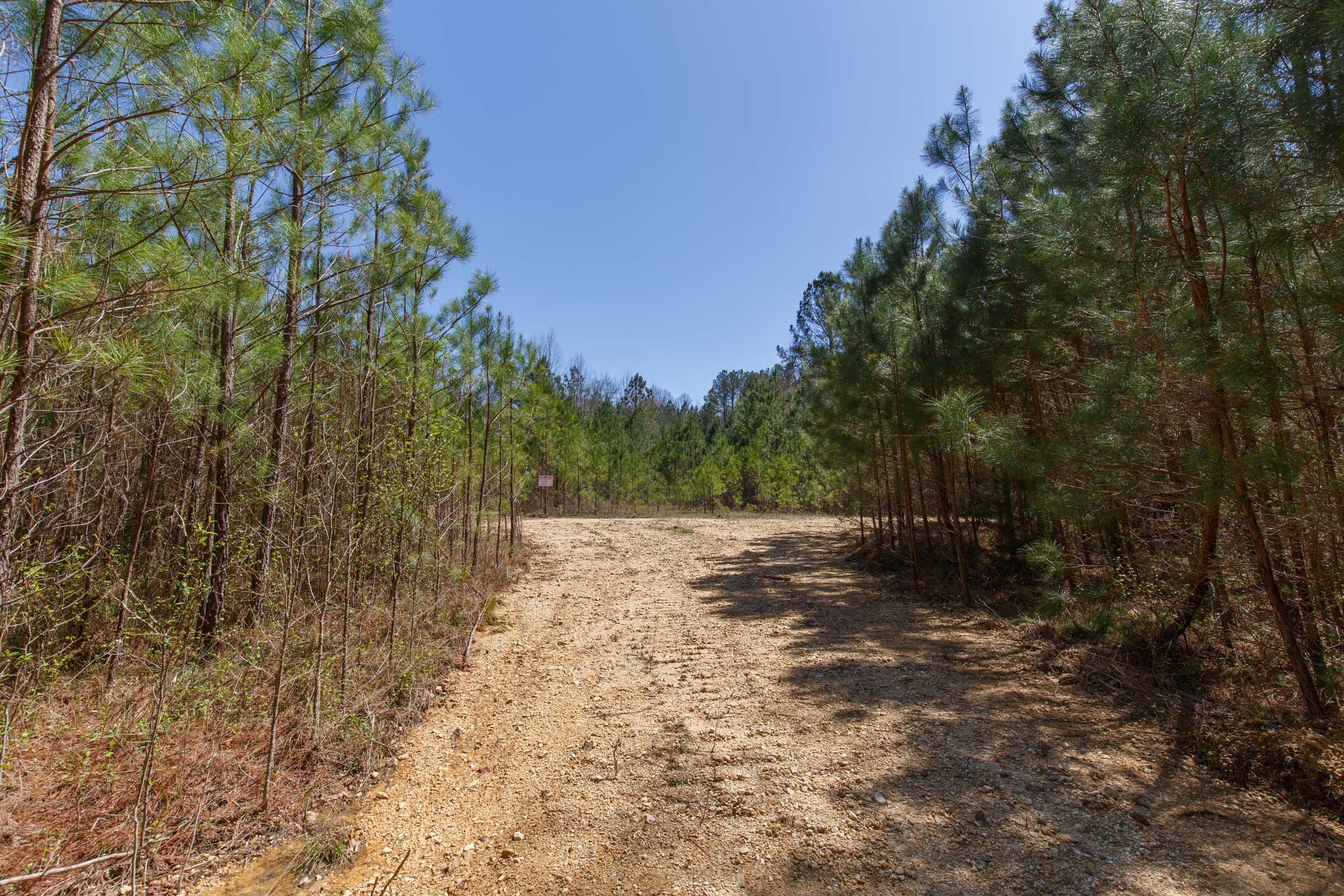 Southern Hills Tract 13 photo 2