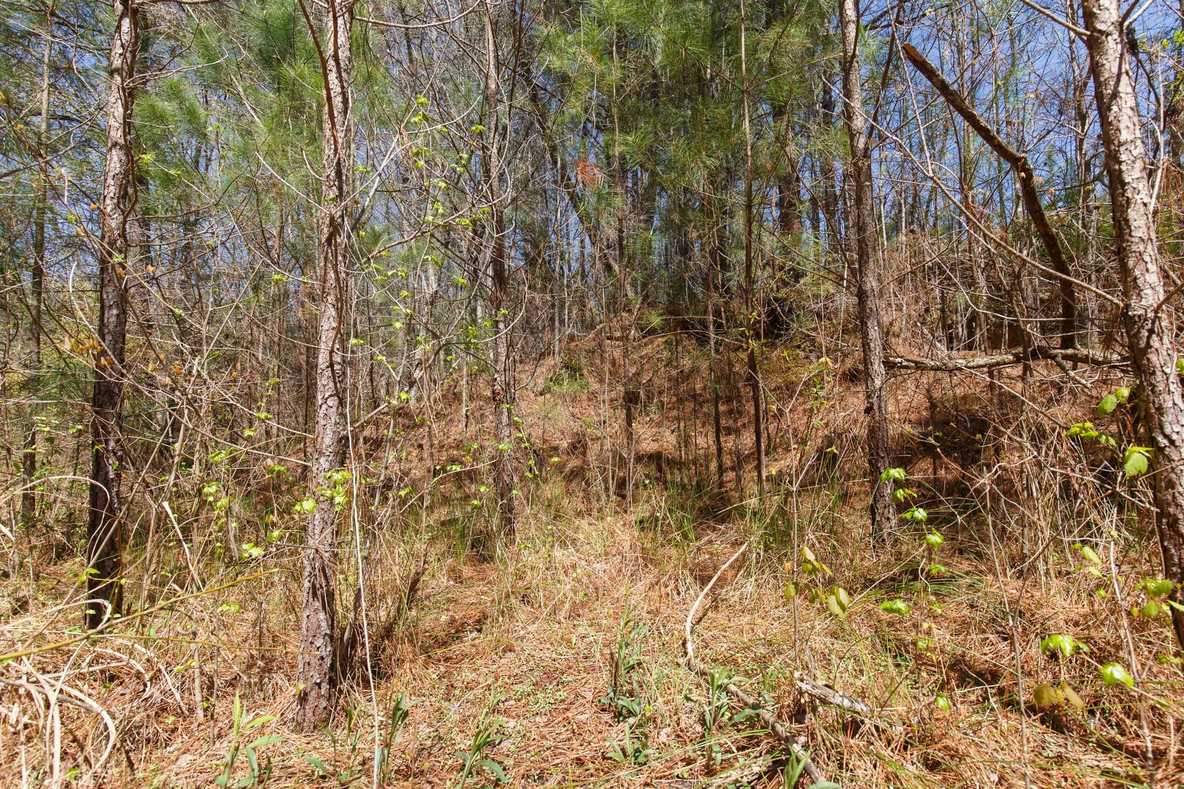 Southern Hills Tract 13 photo 29