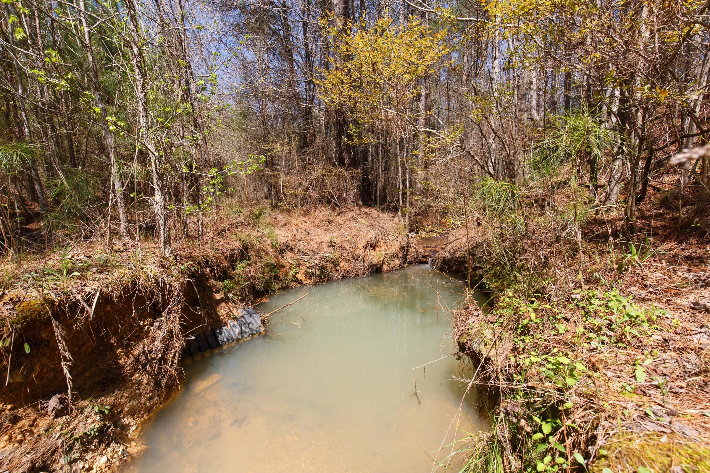 Southern Hills Tract 13 photo 4