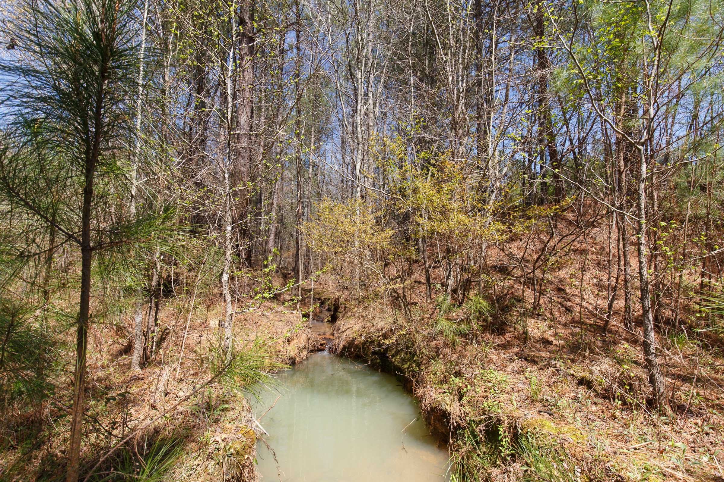 Southern Hills Tract 13 photo 5