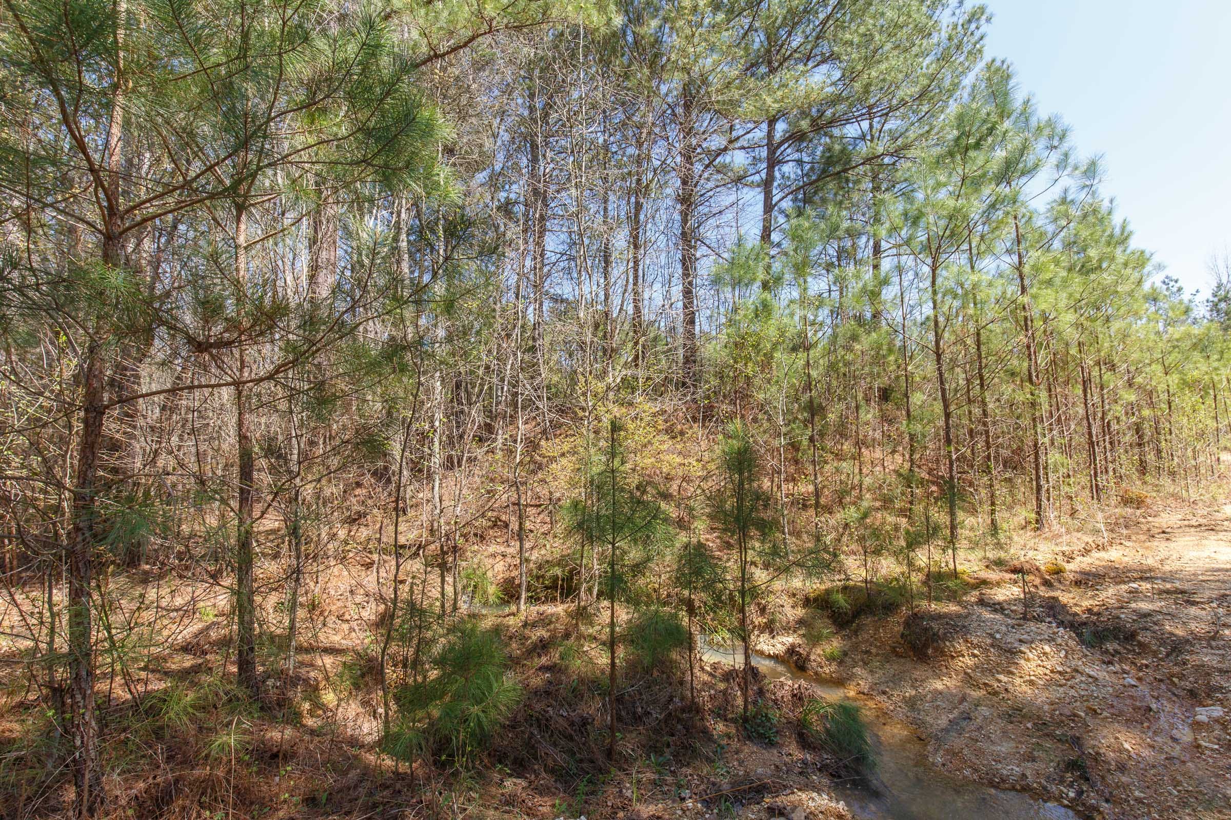 Southern Hills Tract 13 photo 30