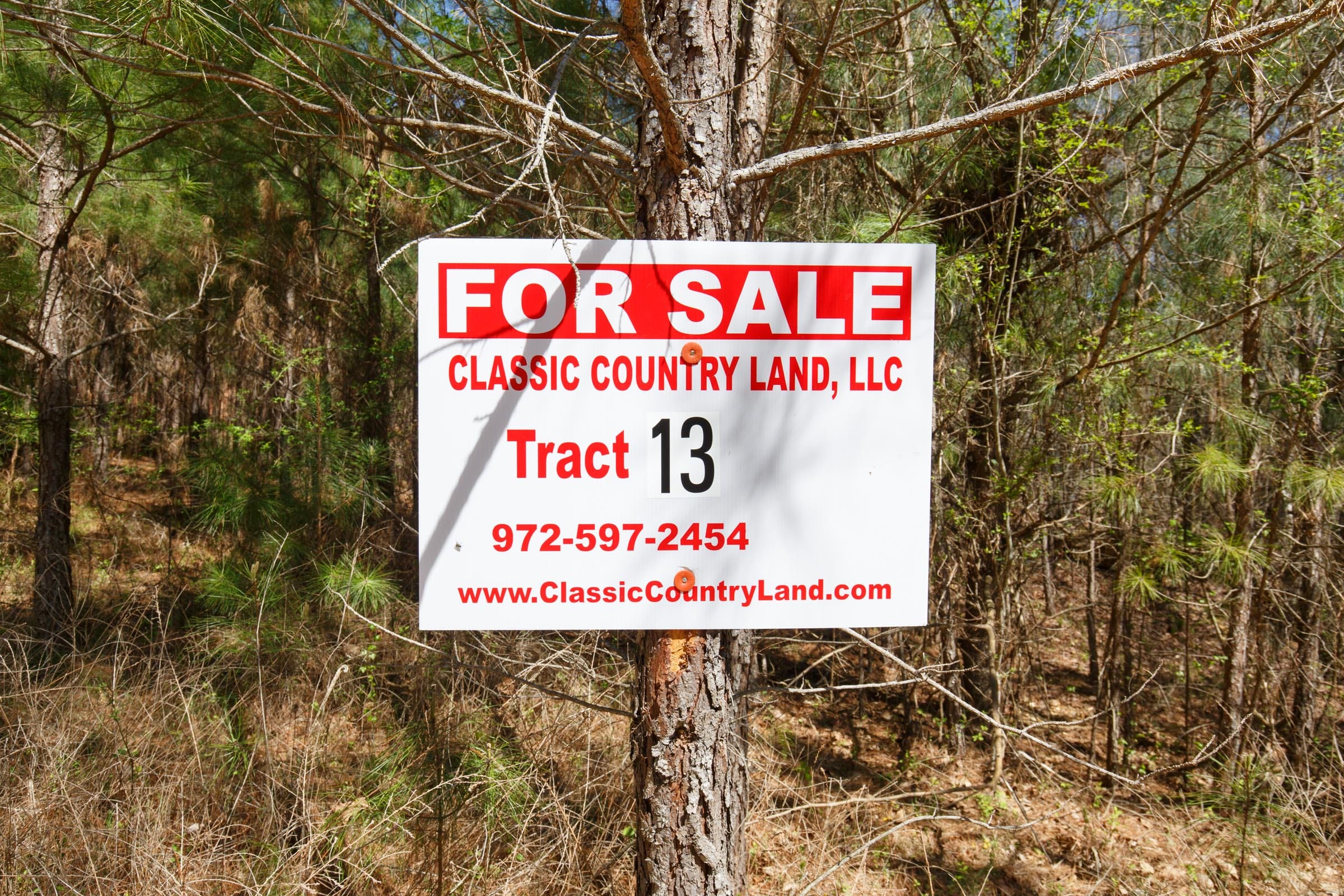 Southern Hills Tract 13 photo 1