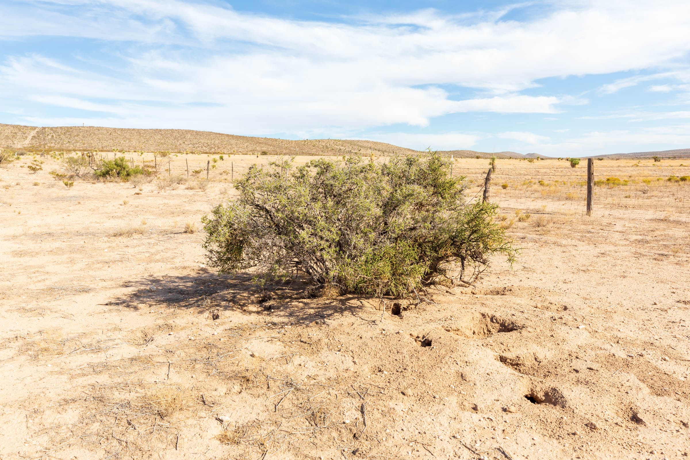 Sunrise Ranches Phase III Tract 108 photo 4