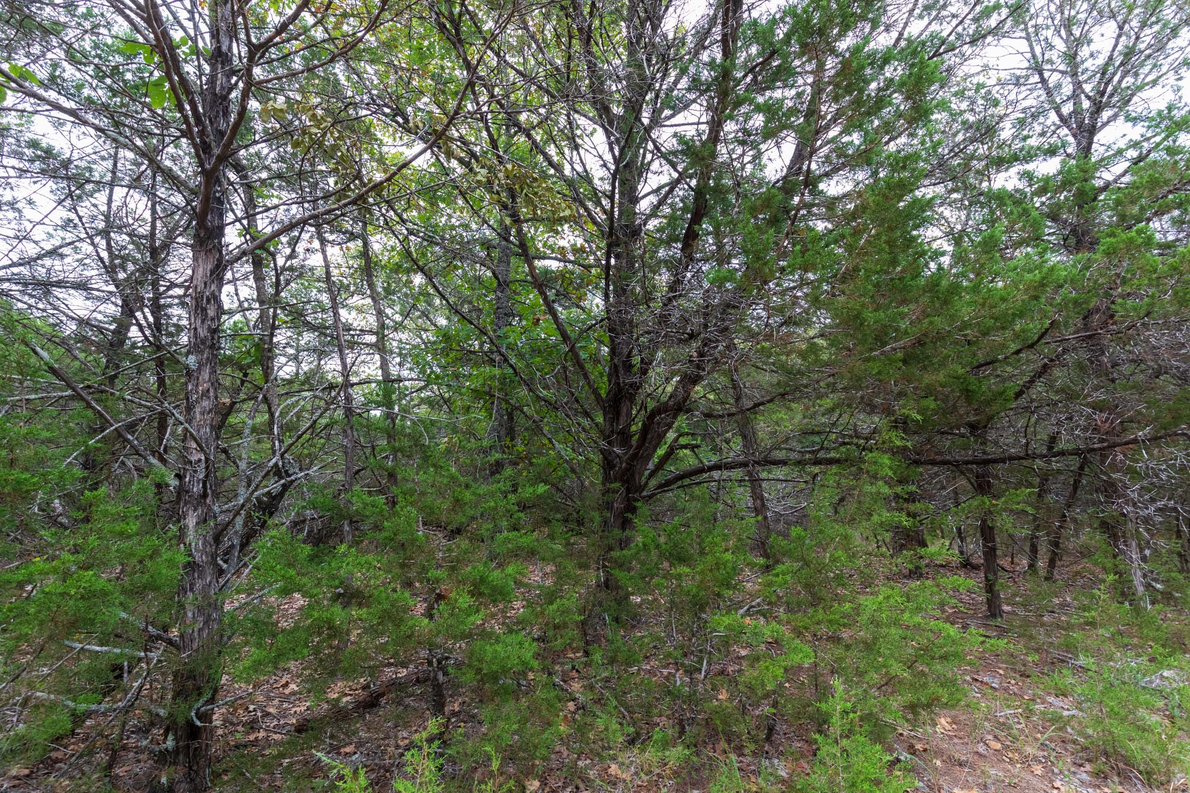 Heritage Bend Tract 21 photo 2