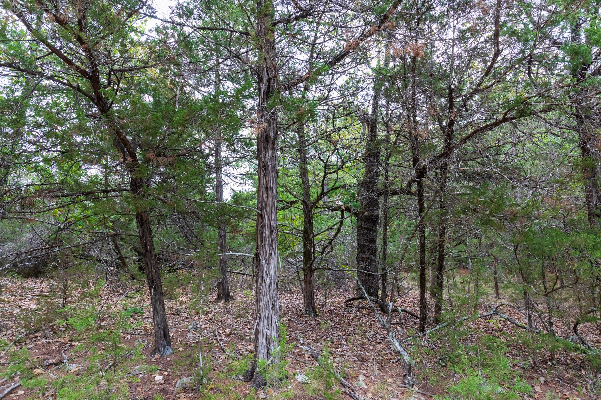 Heritage Bend Tract 21 photo 4
