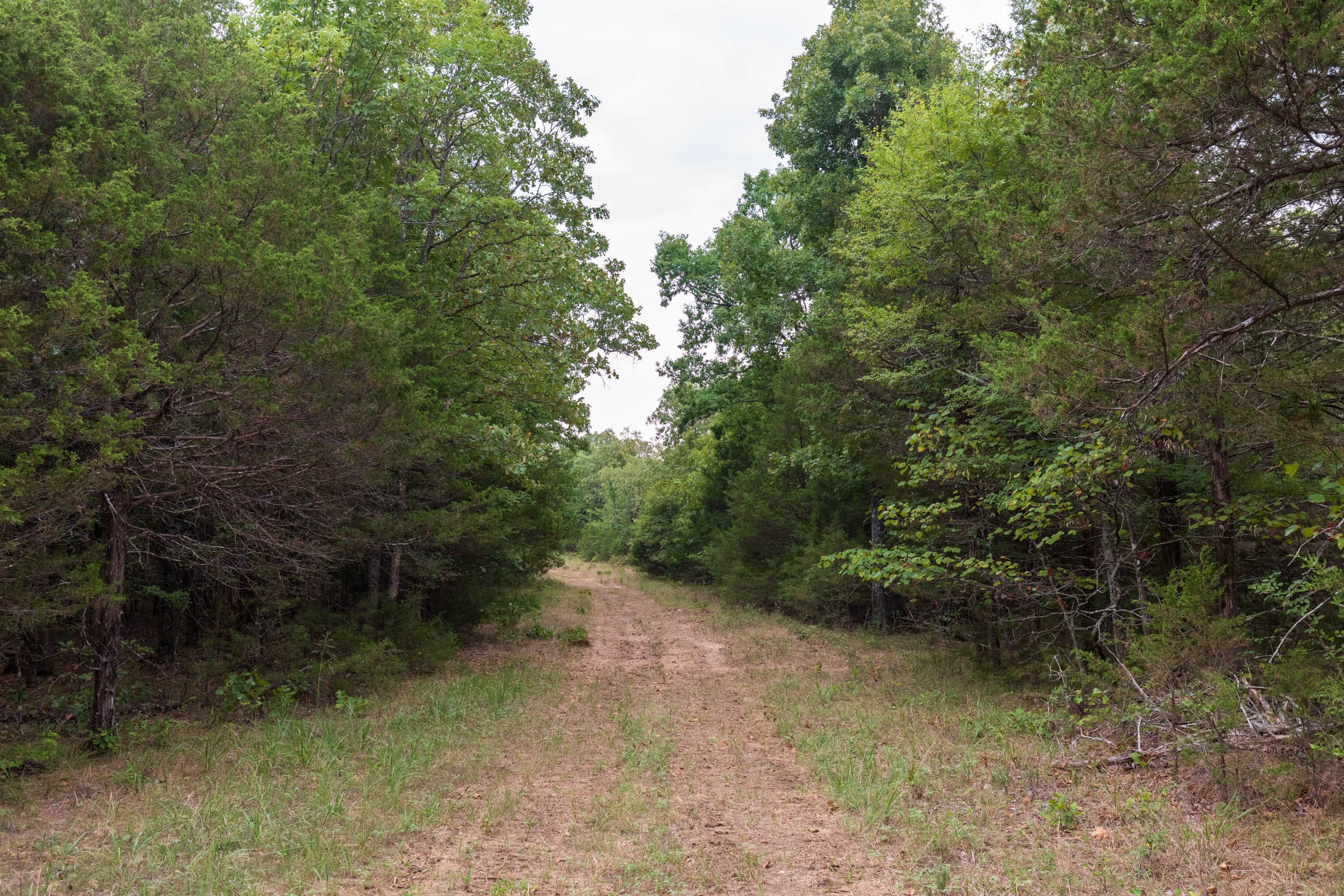 Heritage Bend Tract 21 photo 1