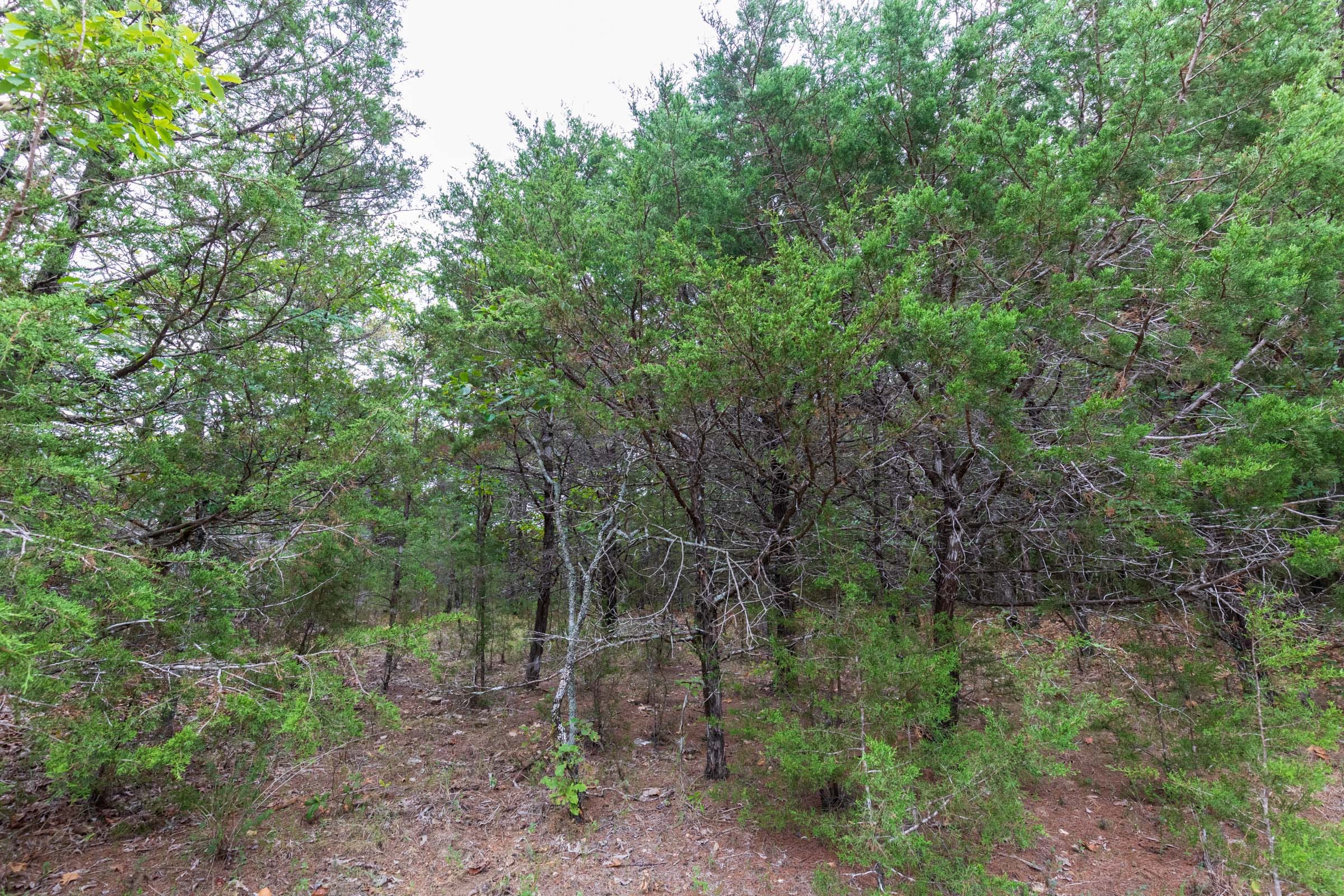 Heritage Bend Tract 21 photo 7