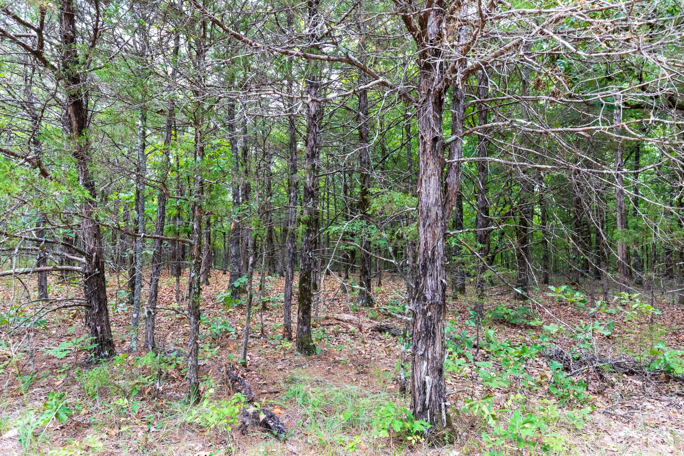 Heritage Bend Tract 21 photo 3