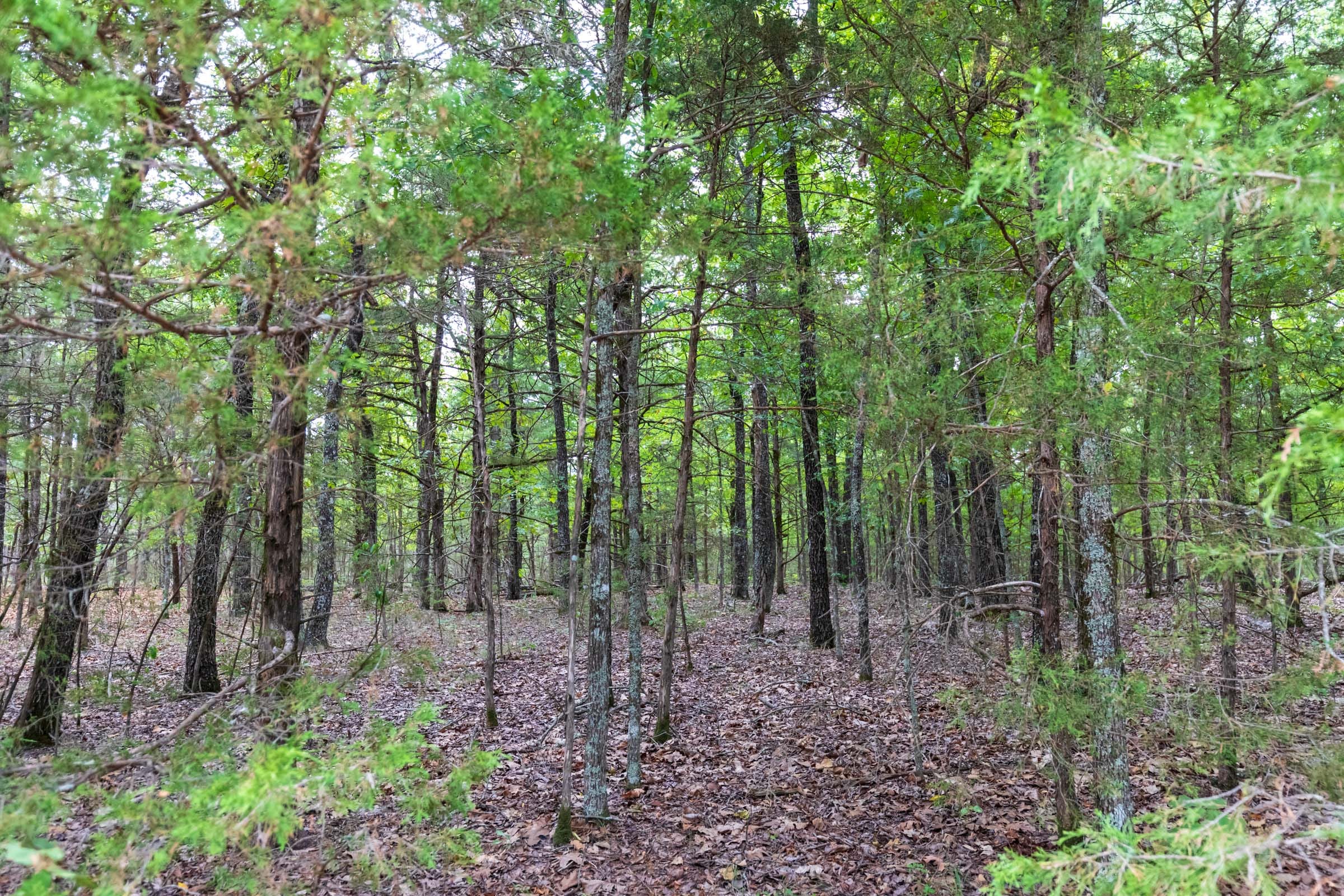 Heritage Bend Tract 21 photo 9