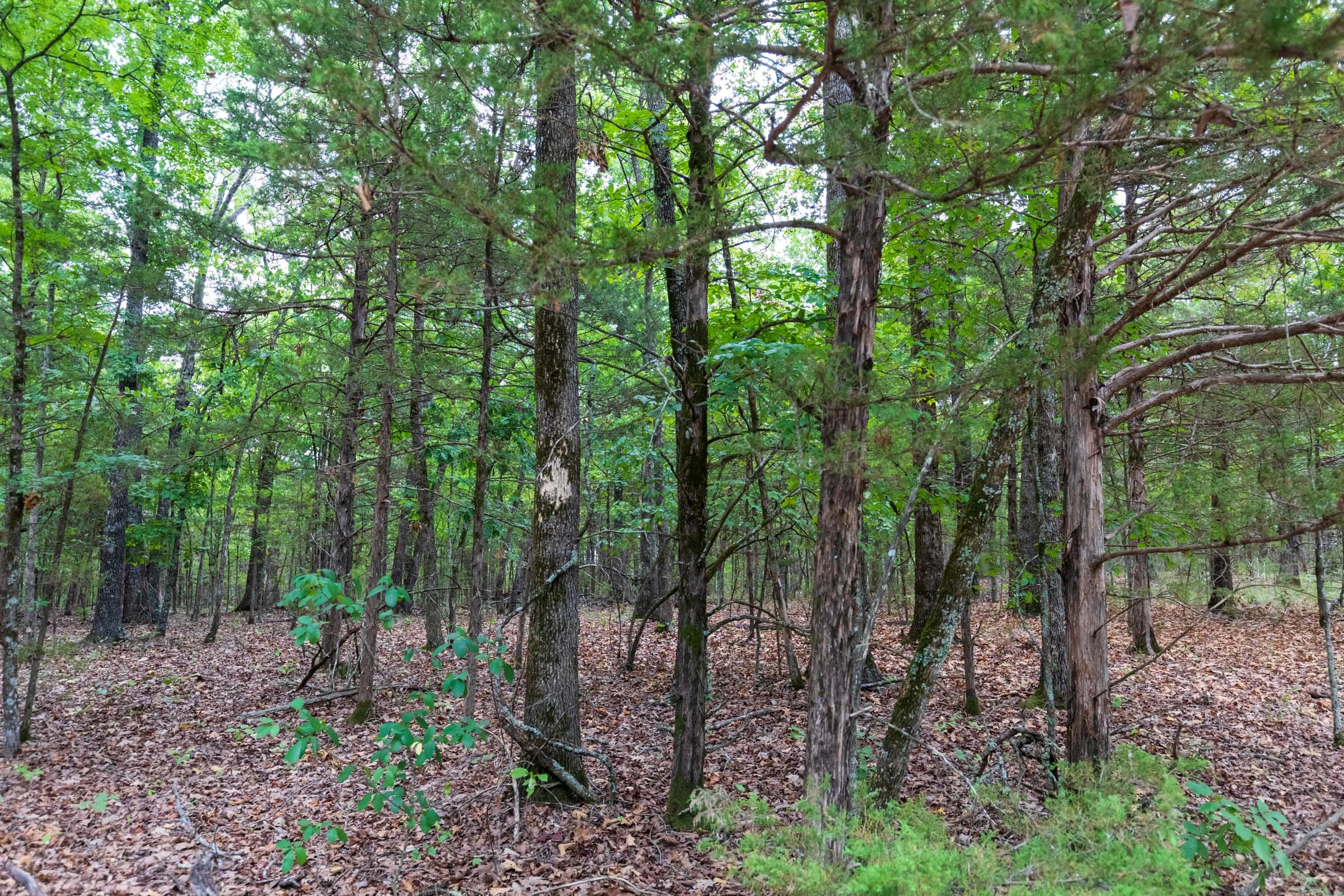 Heritage Bend Tract 21 photo 11