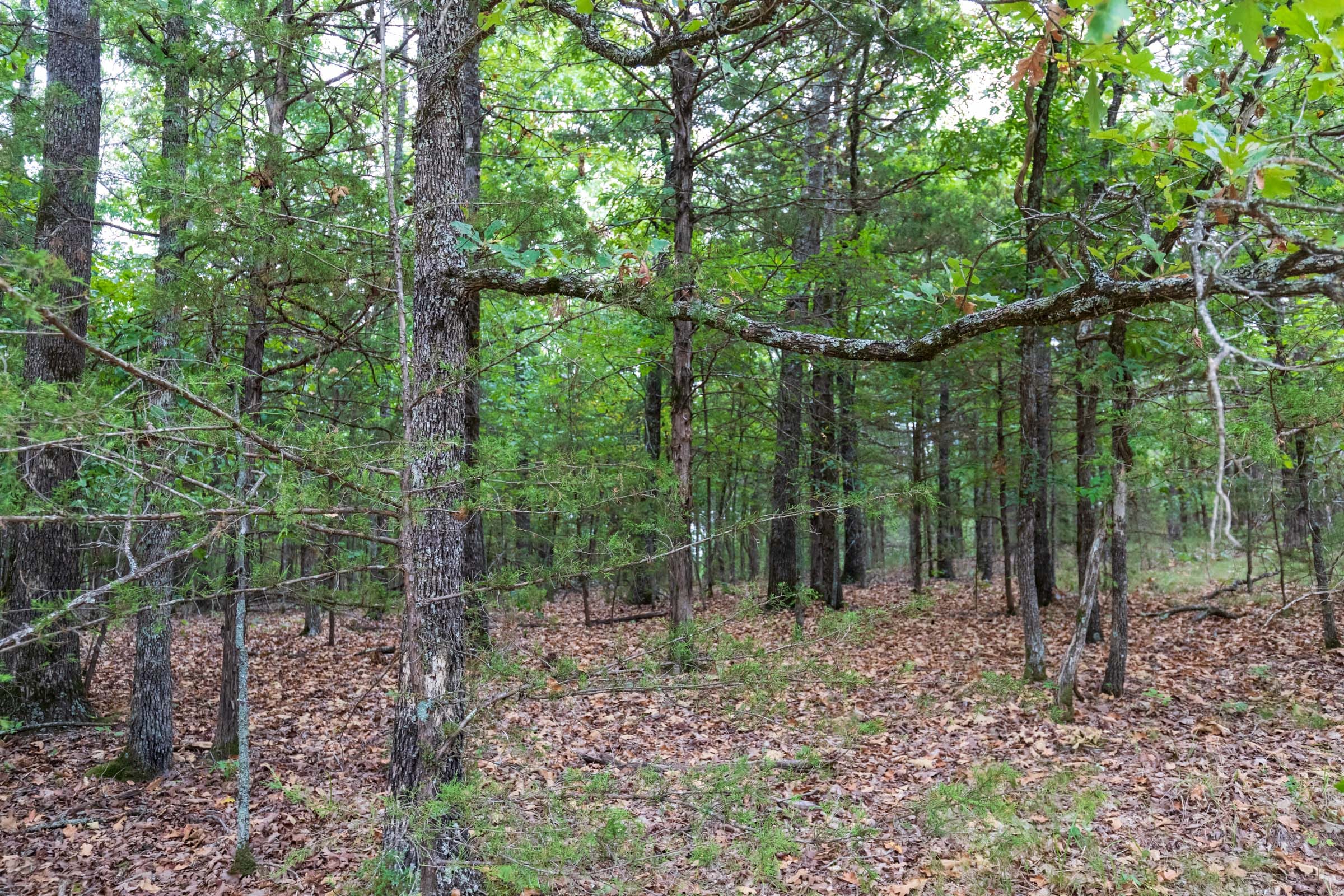Heritage Bend Tract 21 photo 12