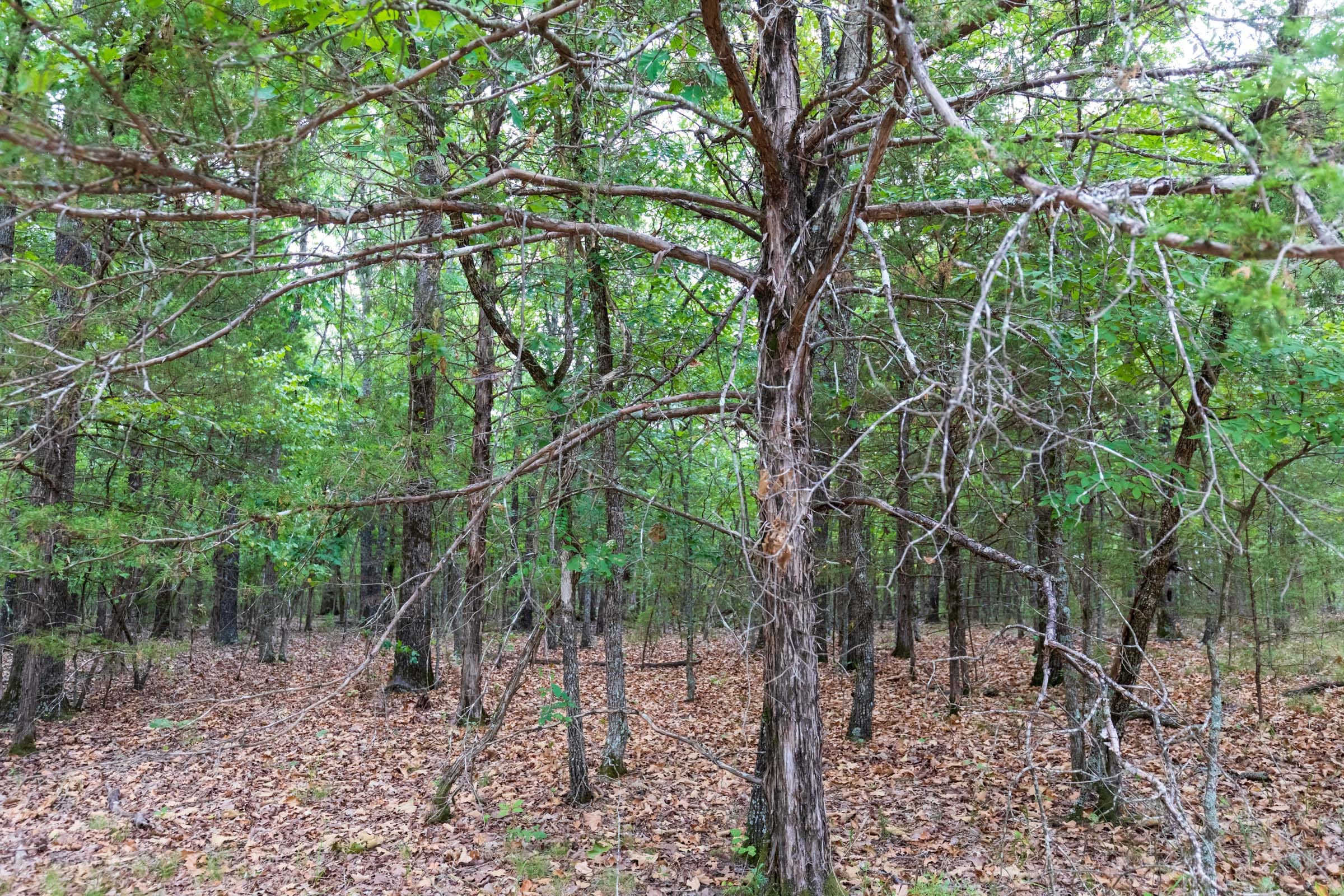 Heritage Bend Tract 21 photo 14