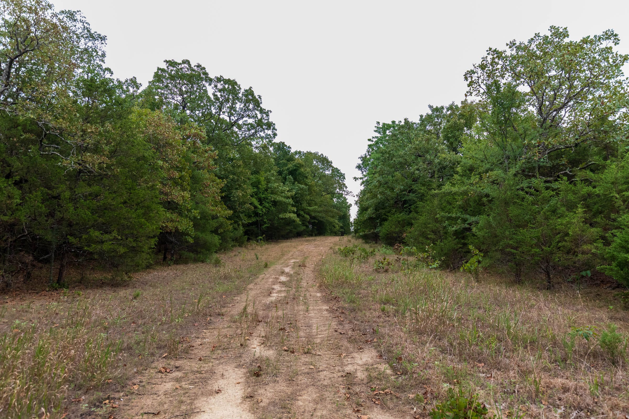 Heritage Bend Tract 21 photo 6