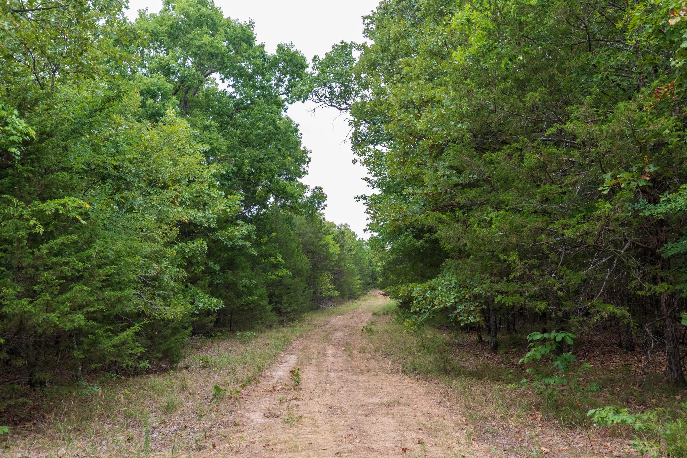 Heritage Bend Tract 21 photo 10