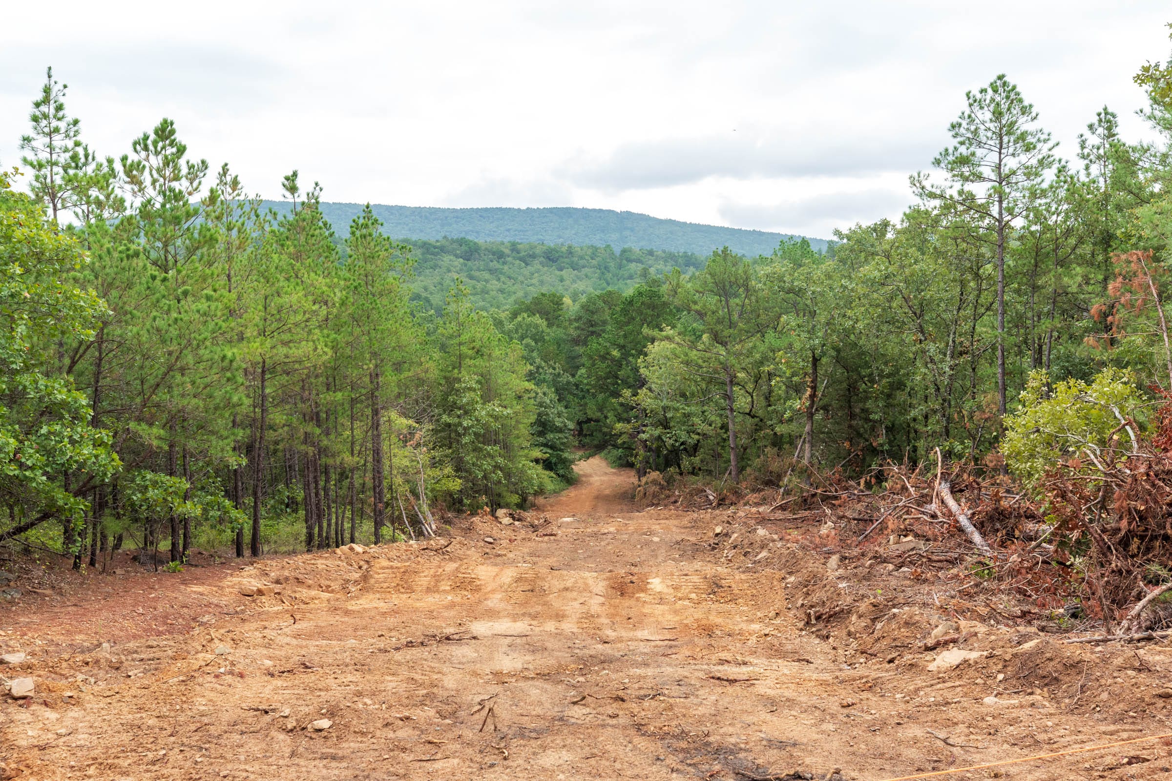 Stone Bridge Phase V Tract 420 photo 7