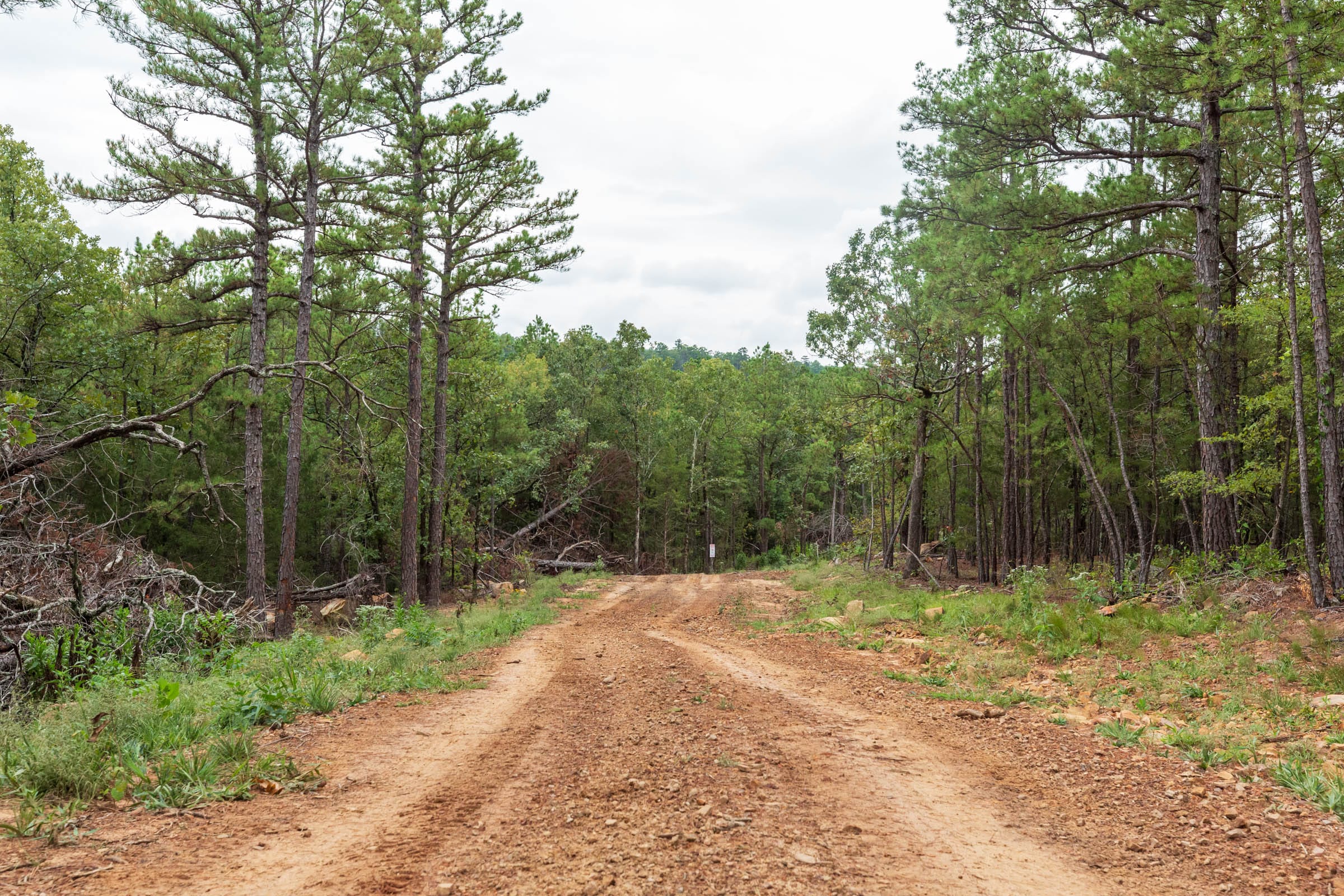 Stone Bridge Phase V Tract 420 photo 5