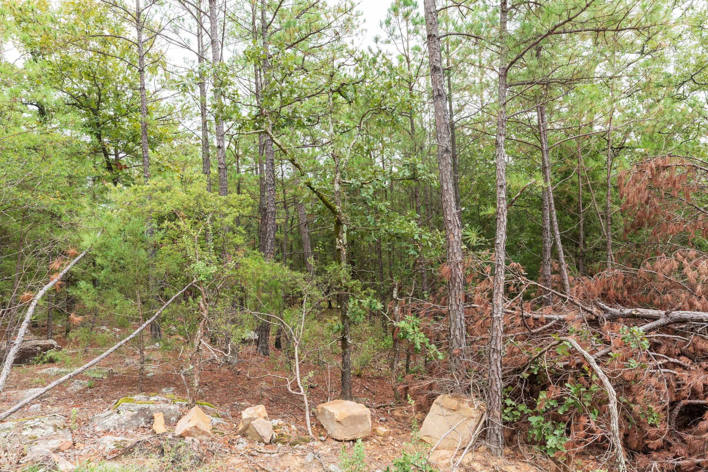 Stone Bridge Phase V Tract 420 photo 8
