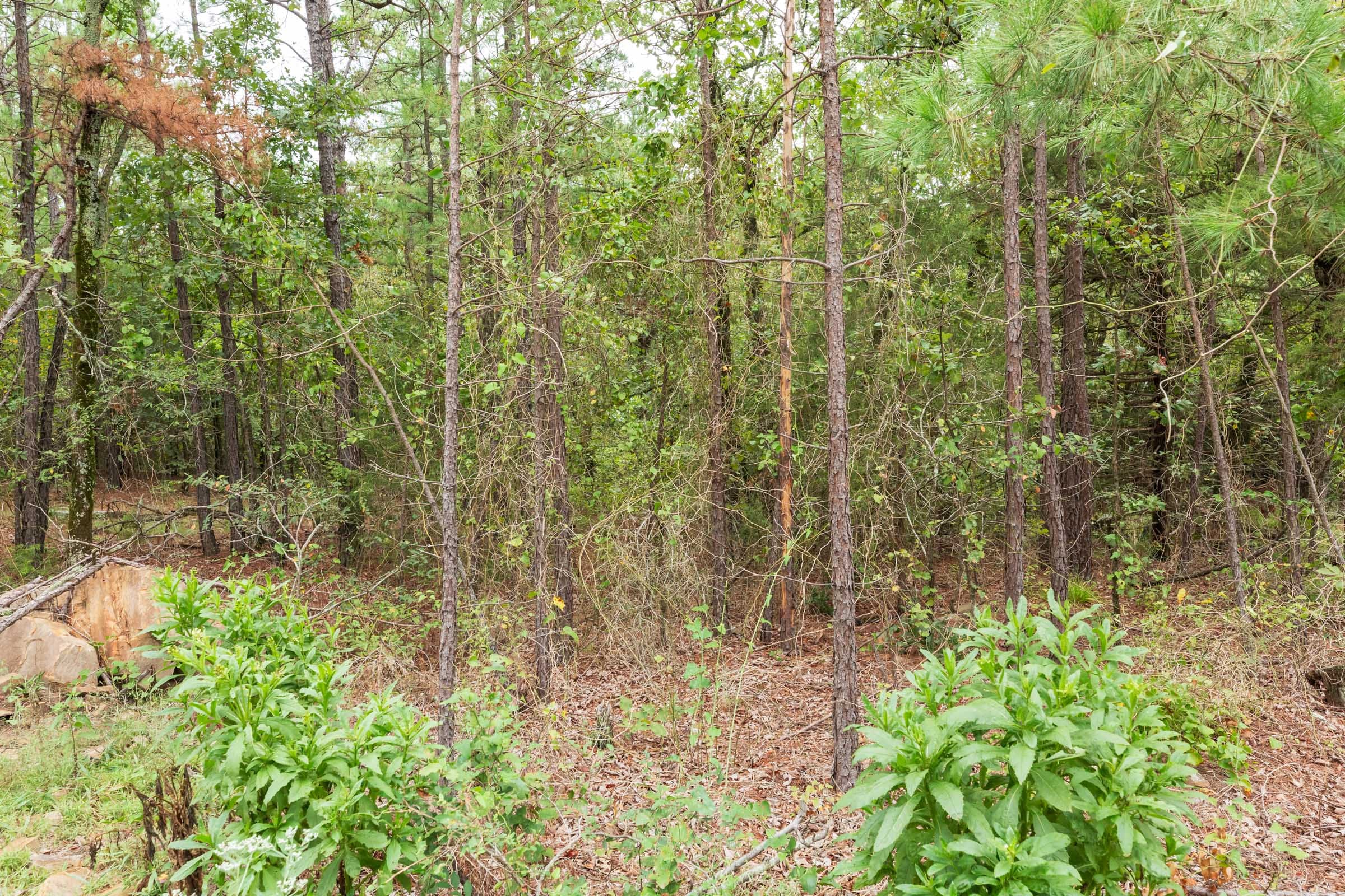 Stone Bridge Phase V Tract 420 photo 10