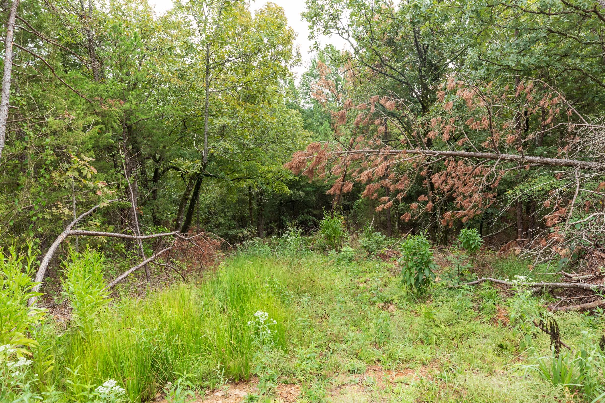 Stone Bridge Phase V Tract 420 photo 12