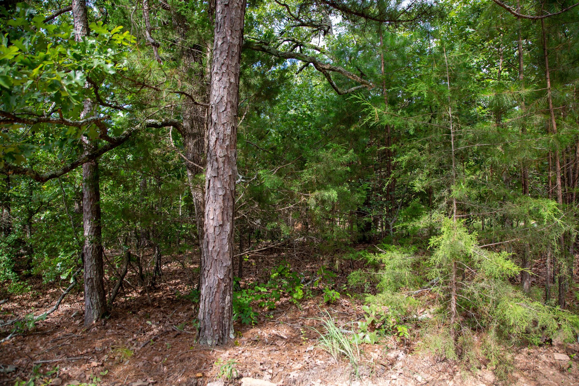 Tyler Stone Ranch Tract 47 photo 3