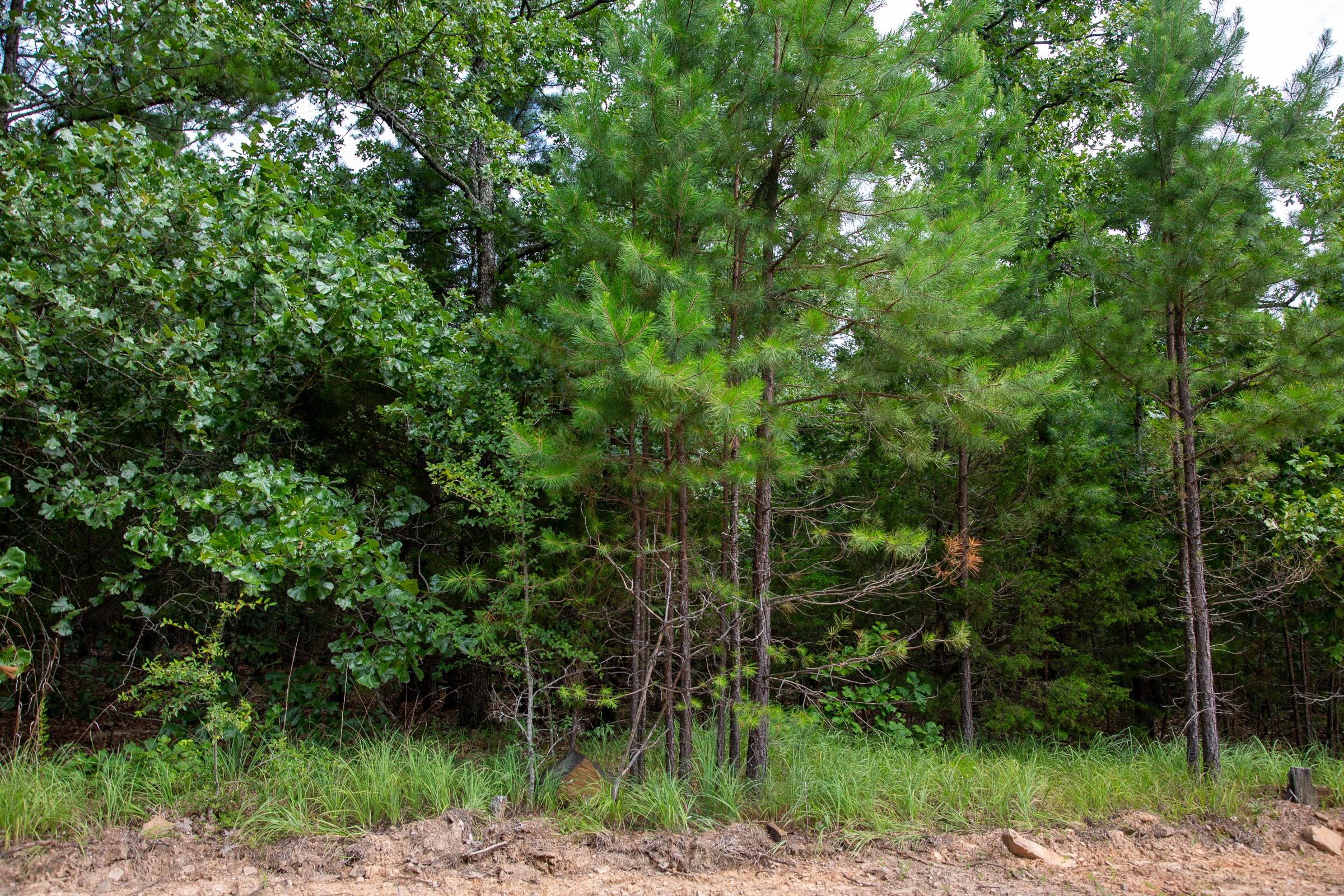Tyler Stone Ranch Tract 47 photo 5