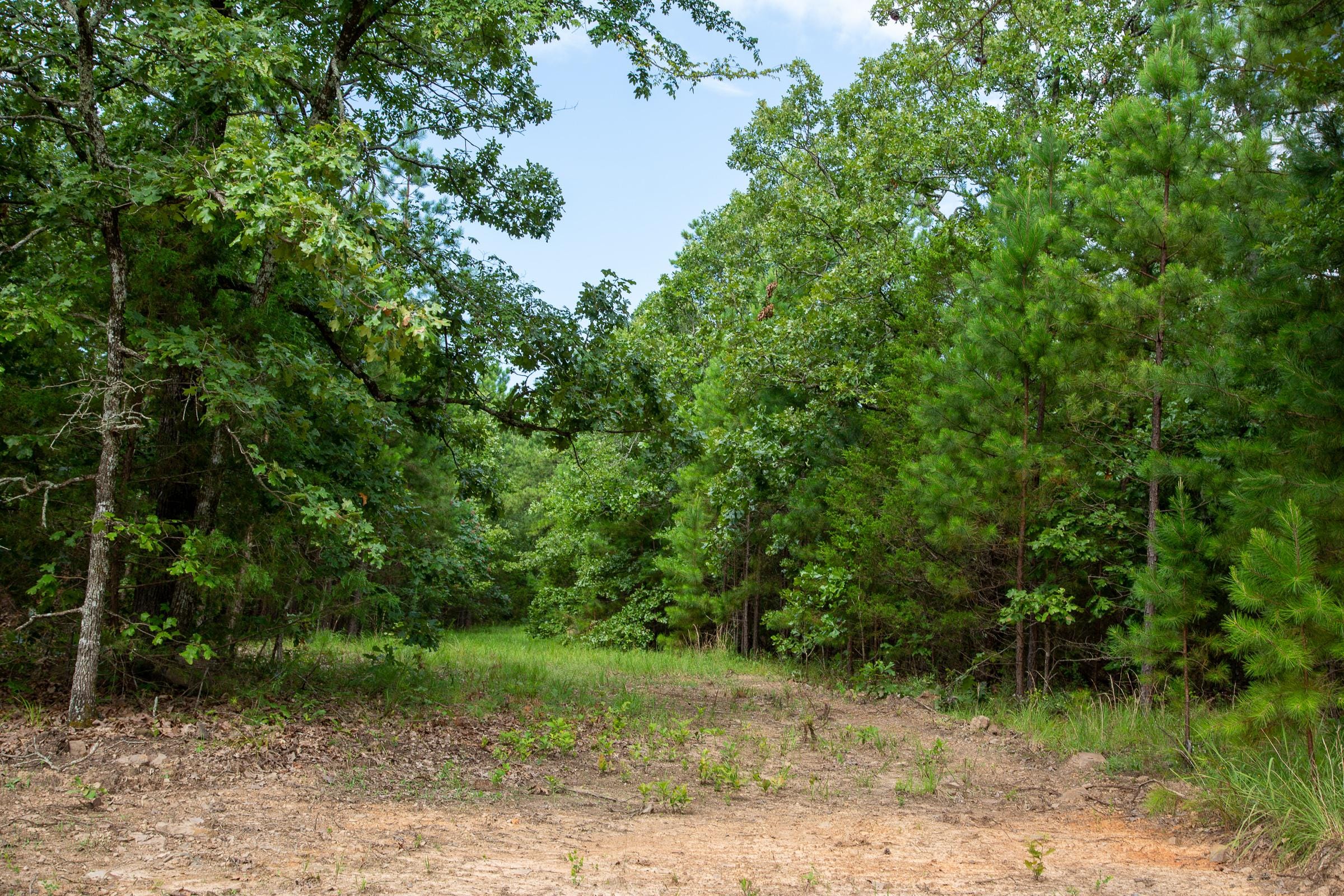 Tyler Stone Ranch Tract 47 photo 6