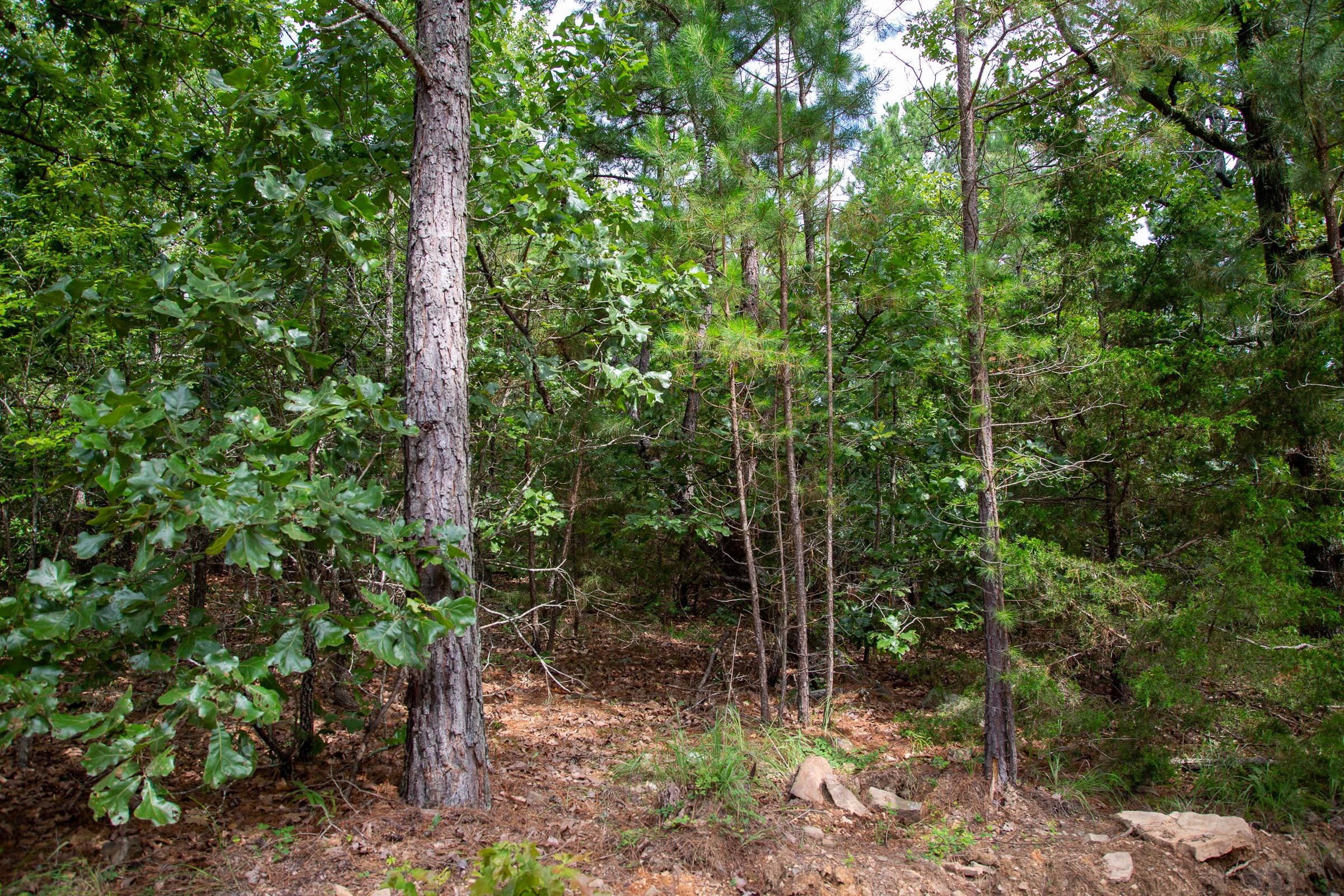Tyler Stone Ranch Tract 47 photo 1