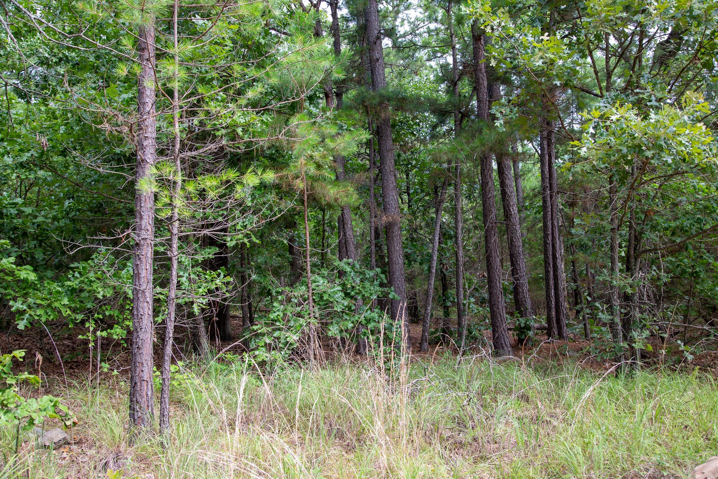 Tyler Stone Ranch Tract 47 photo 9