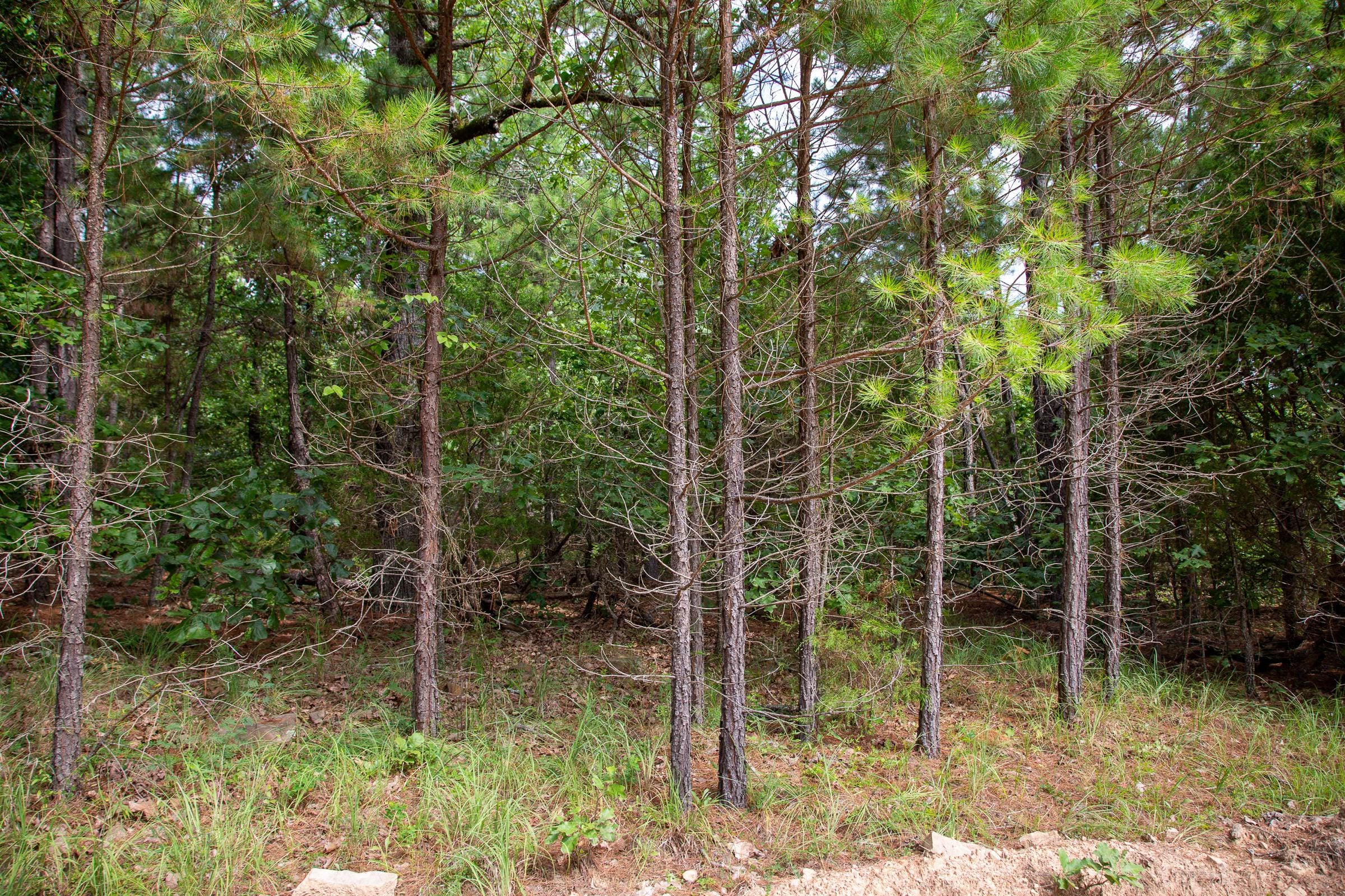 Tyler Stone Ranch Tract 47 photo 11