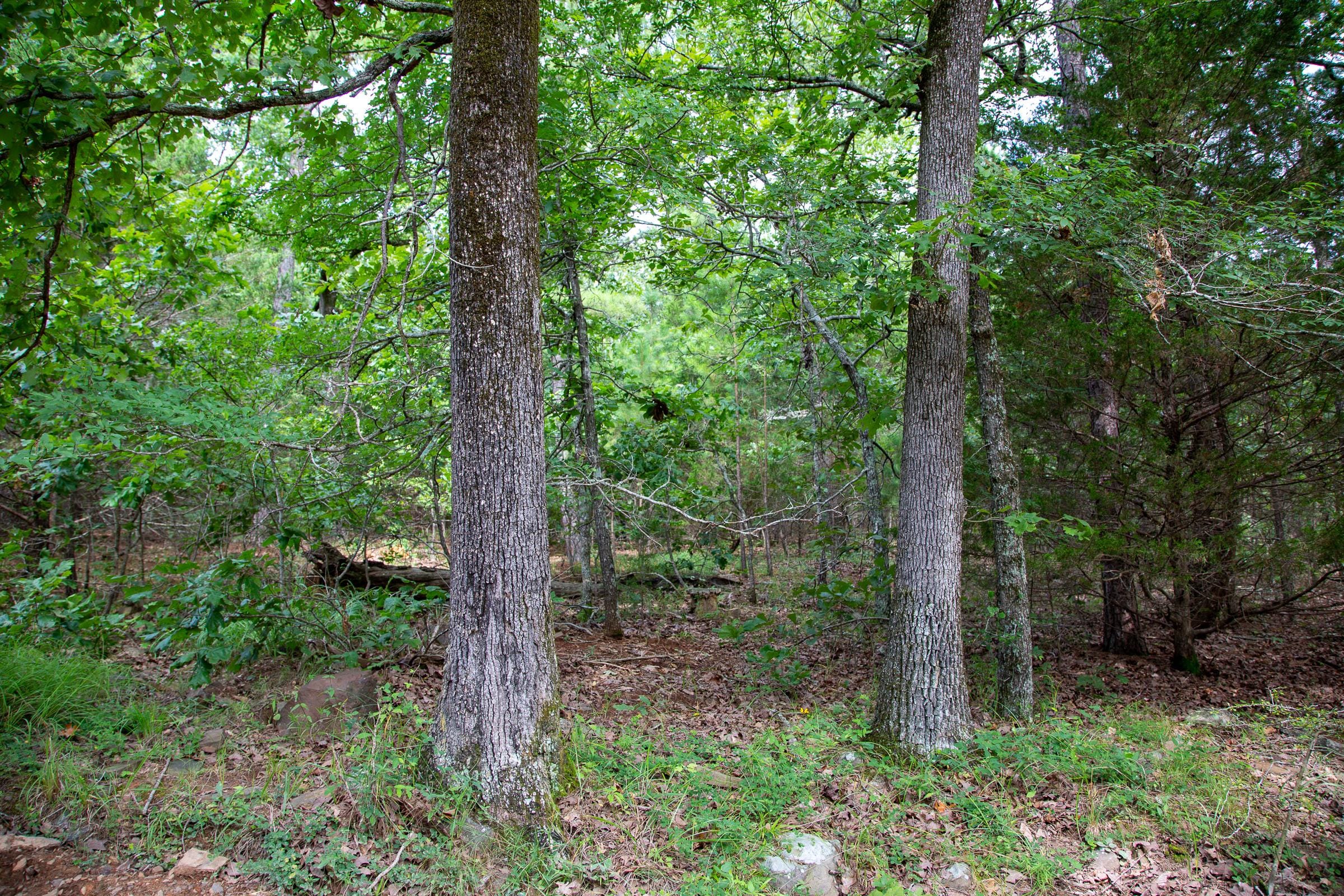 Tyler Stone Ranch Tract 47 photo 13