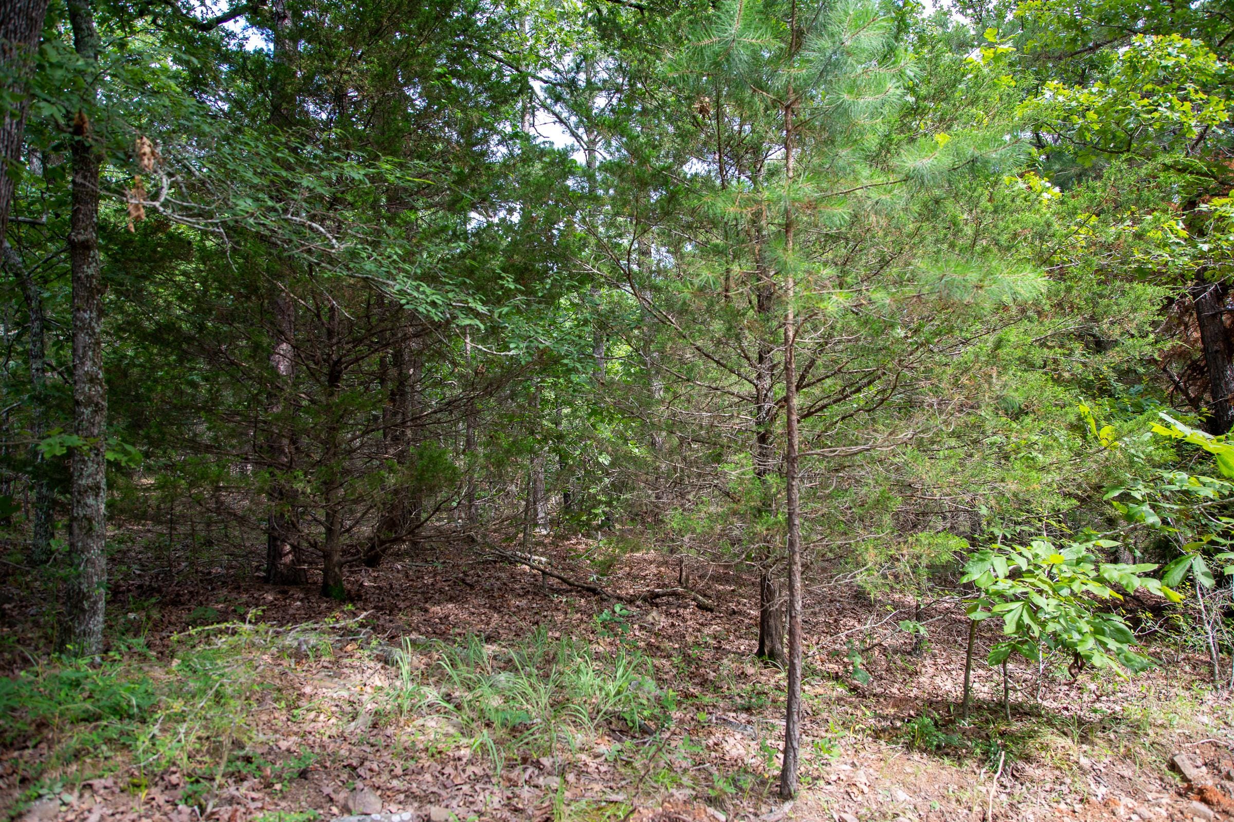 Tyler Stone Ranch Tract 47 photo 14