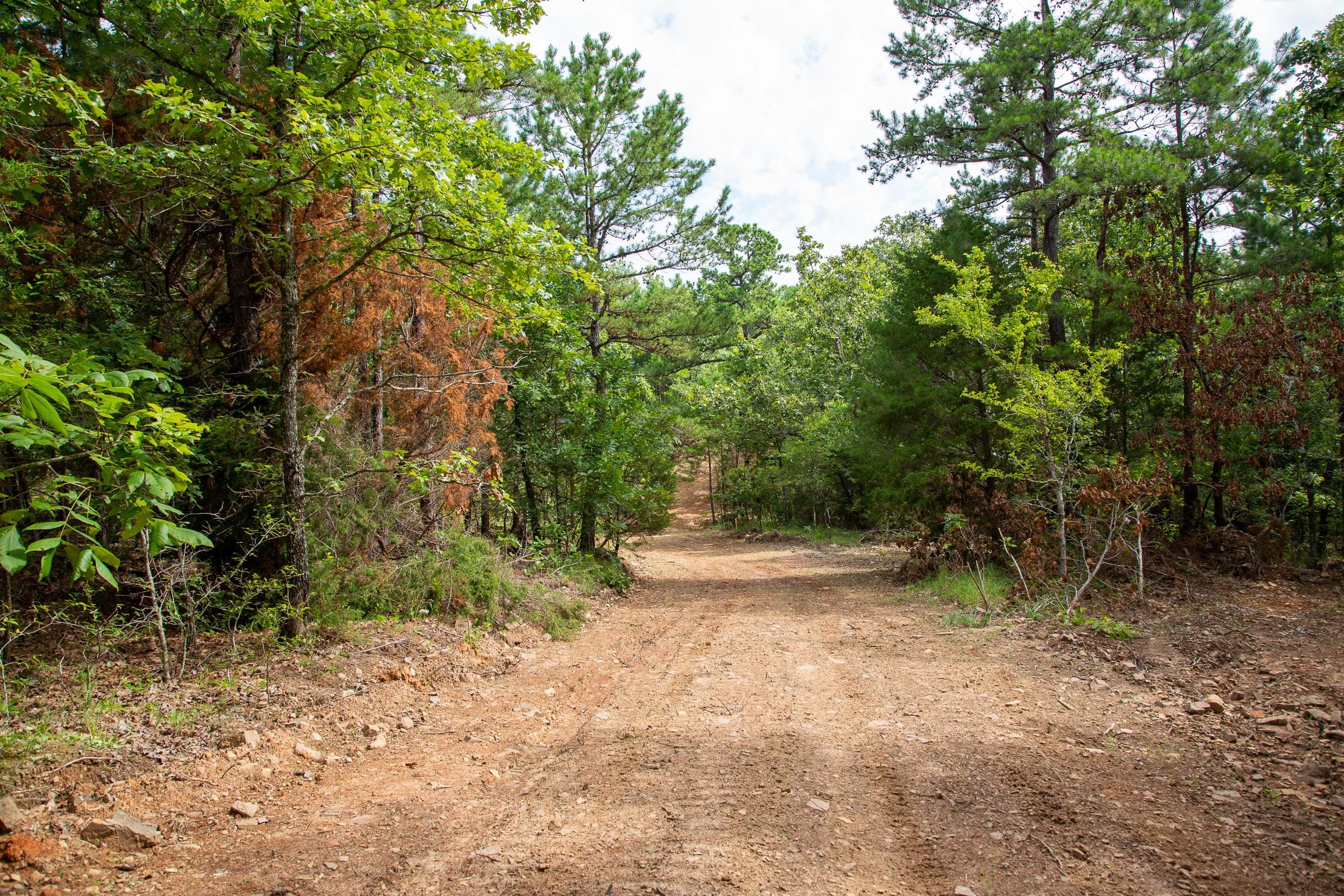 Tyler Stone Ranch Tract 47 photo 8