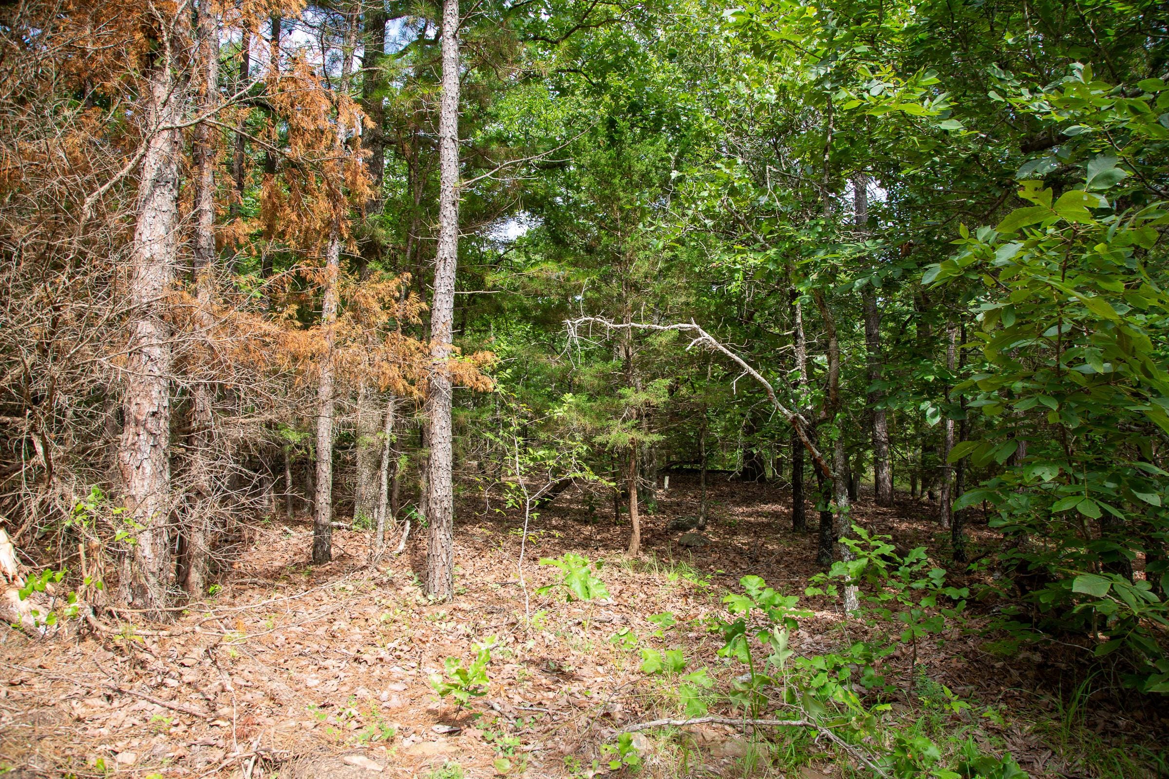 Tyler Stone Ranch Tract 47 photo 15