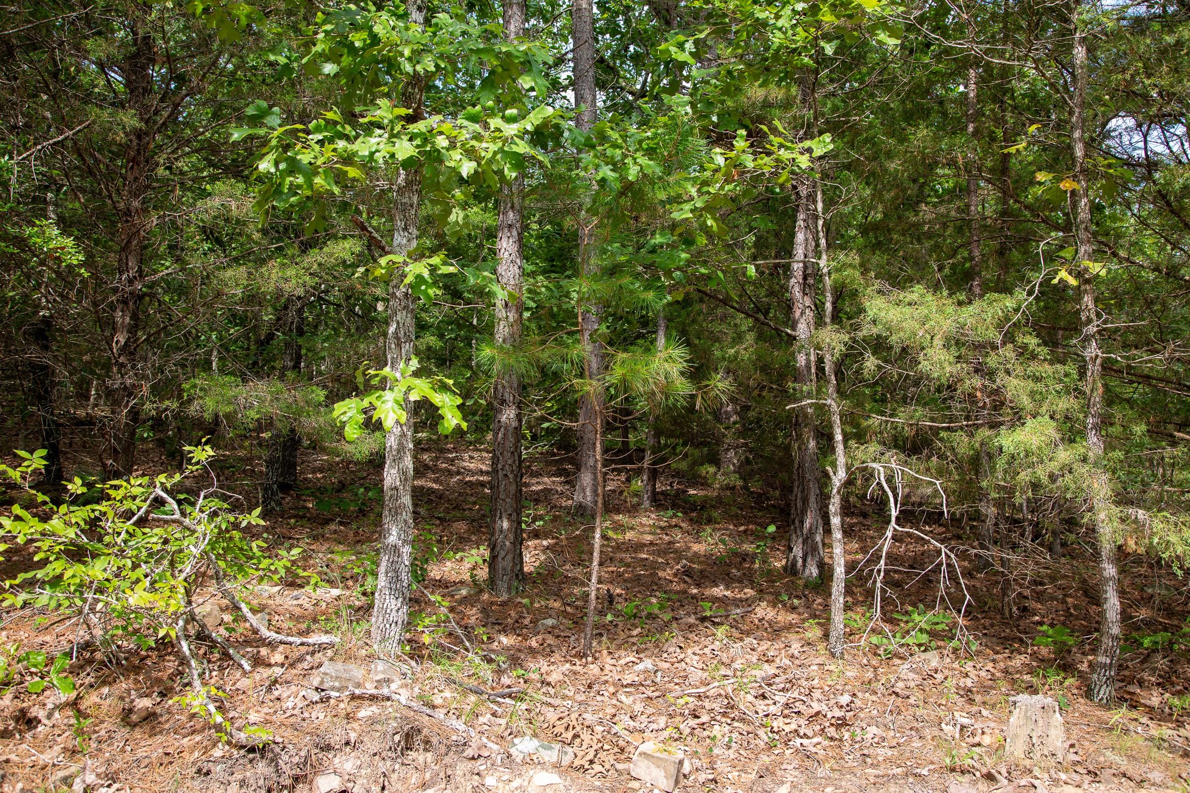 Tyler Stone Ranch Tract 47 photo 16