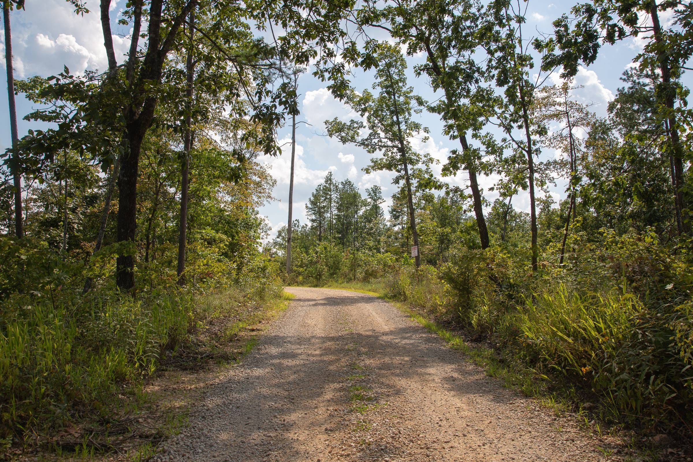 Borgmann’s Hollow Phase I Tract 18 photo 1