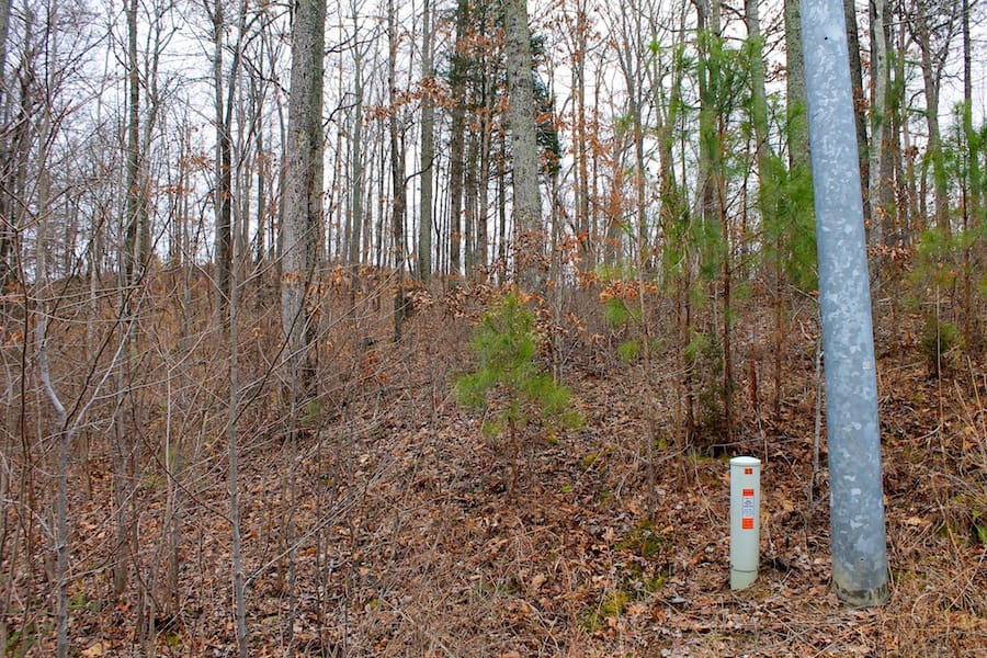 The Tennessean Tract 16 photo 2